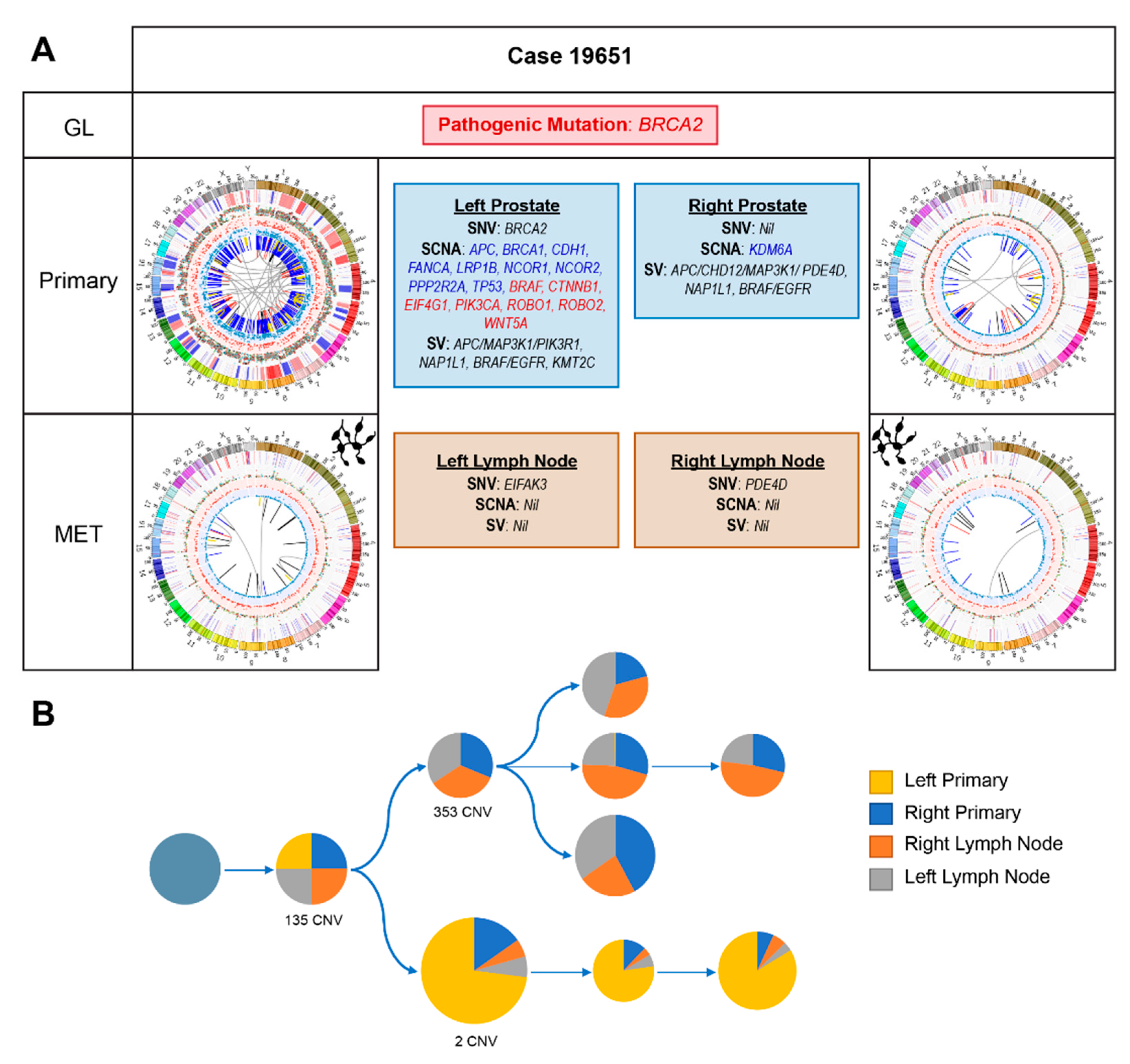Cancers 12 01178 g004
