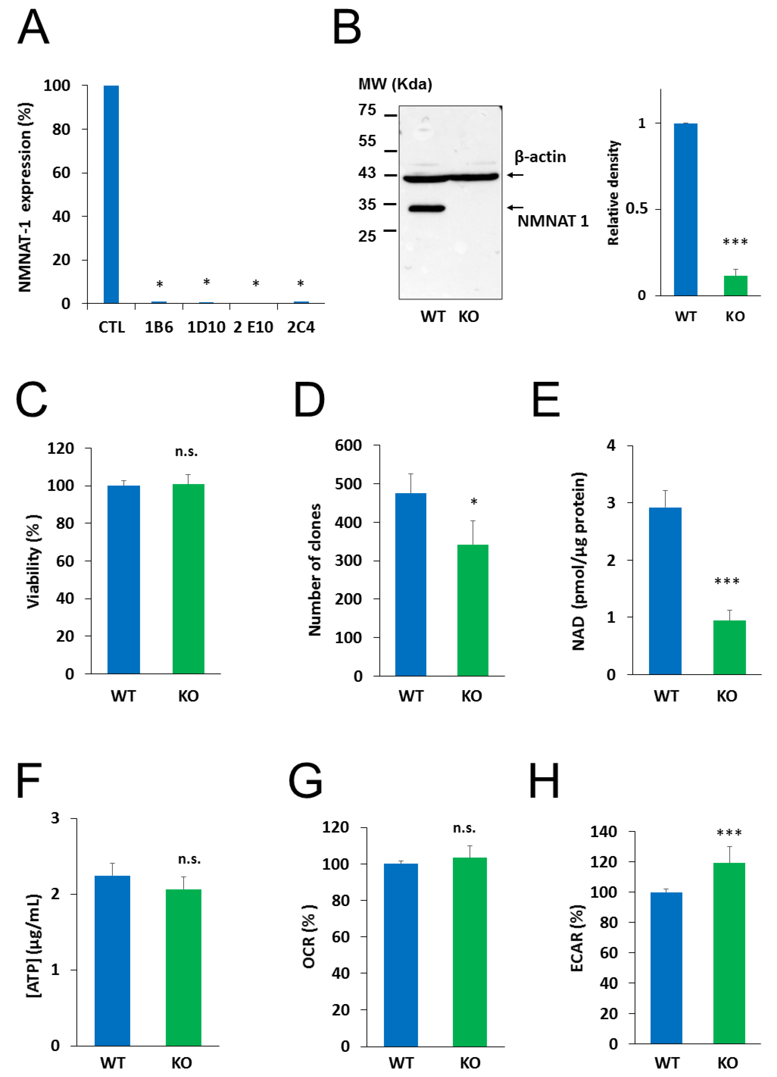 Cancers 12 01180 g002
