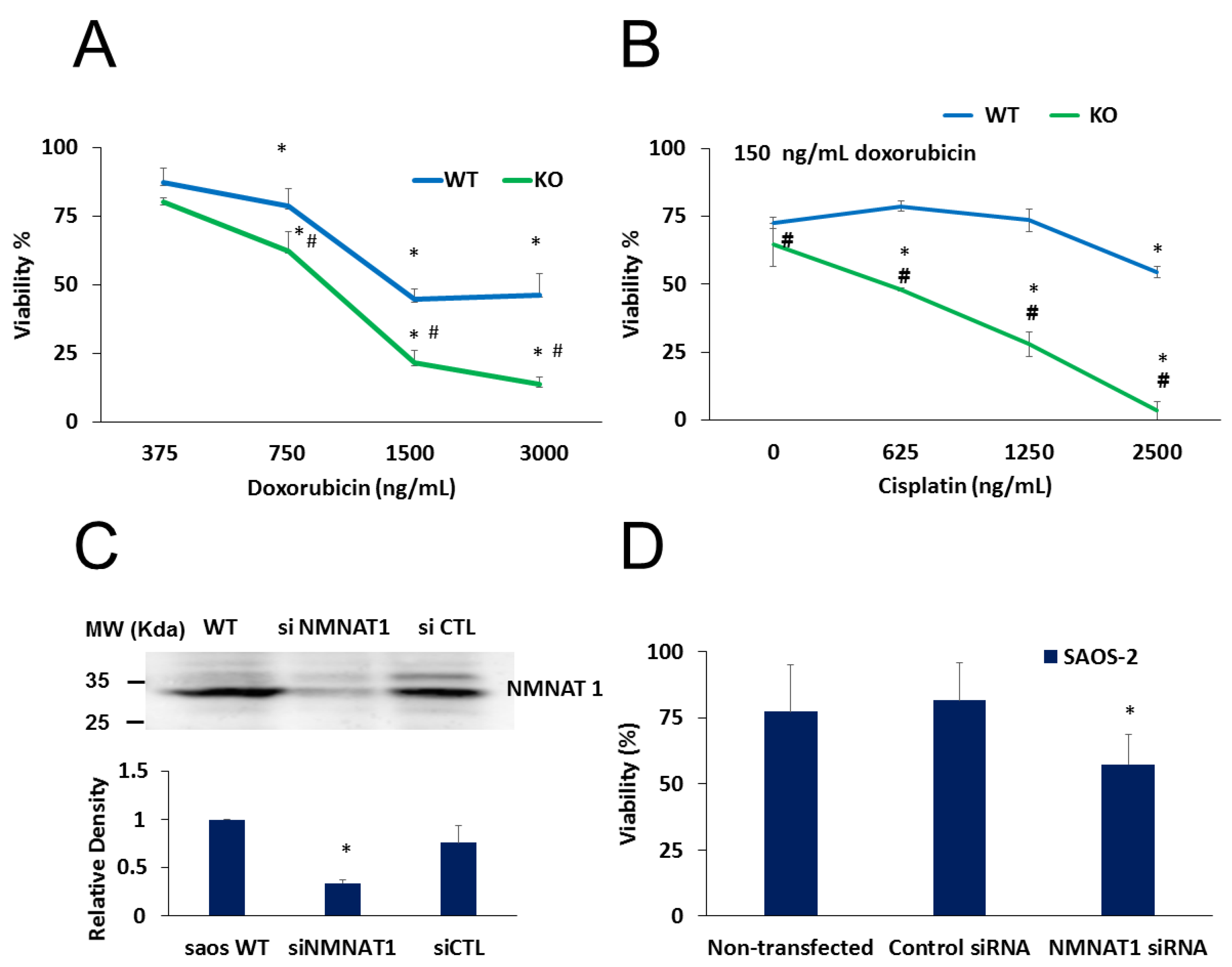 Cancers 12 01180 g007