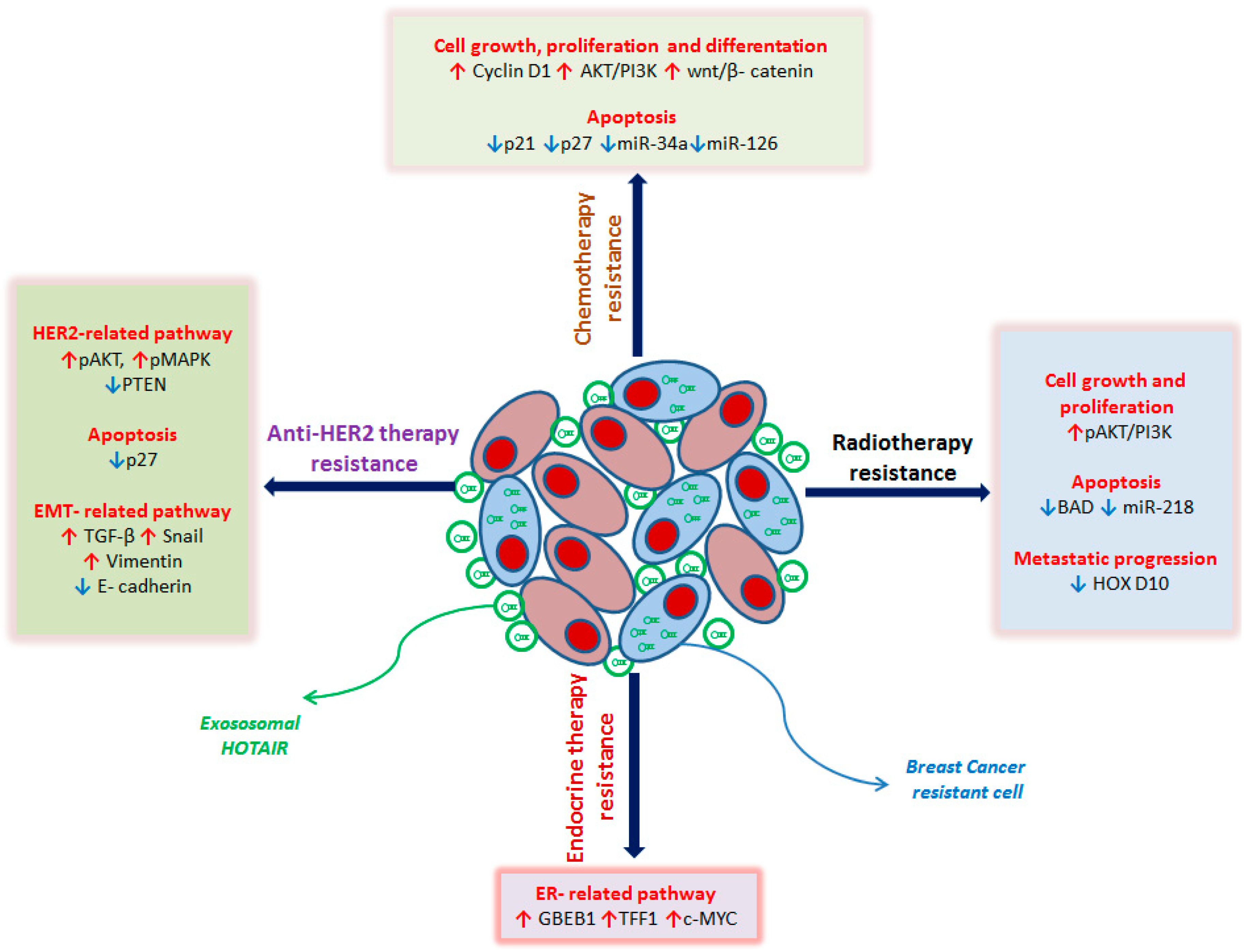 Cancers 12 01197 g001 Cancers 12 01197 g001
