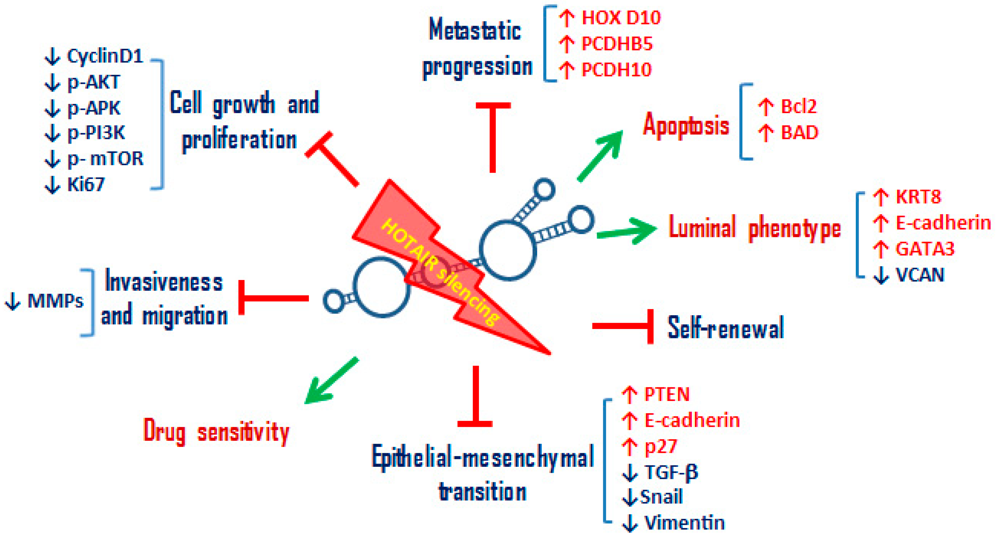 Cancers 12 01197 g002 Cancers 12 01197 g002