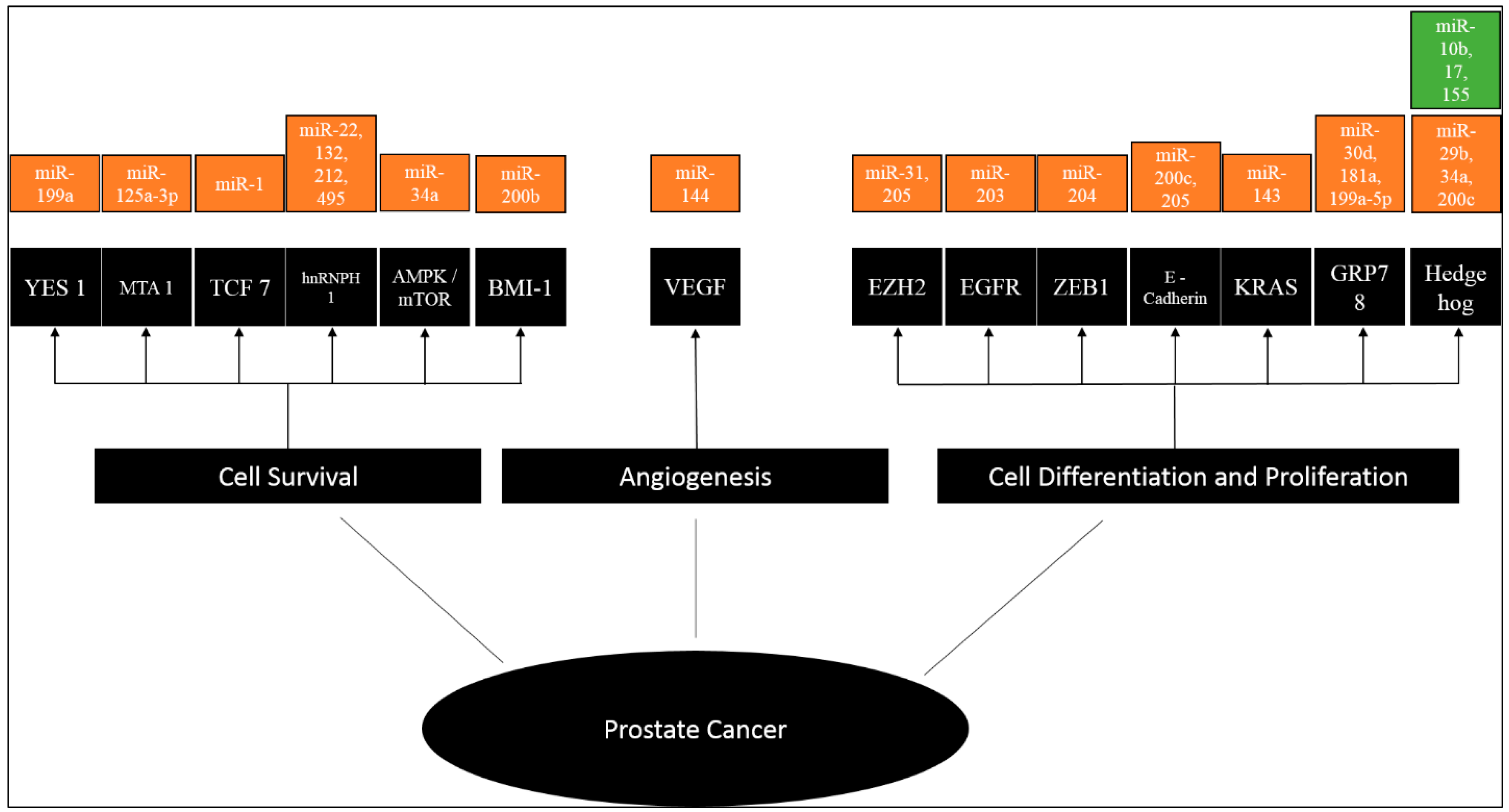 Cancers 12 01199 g003