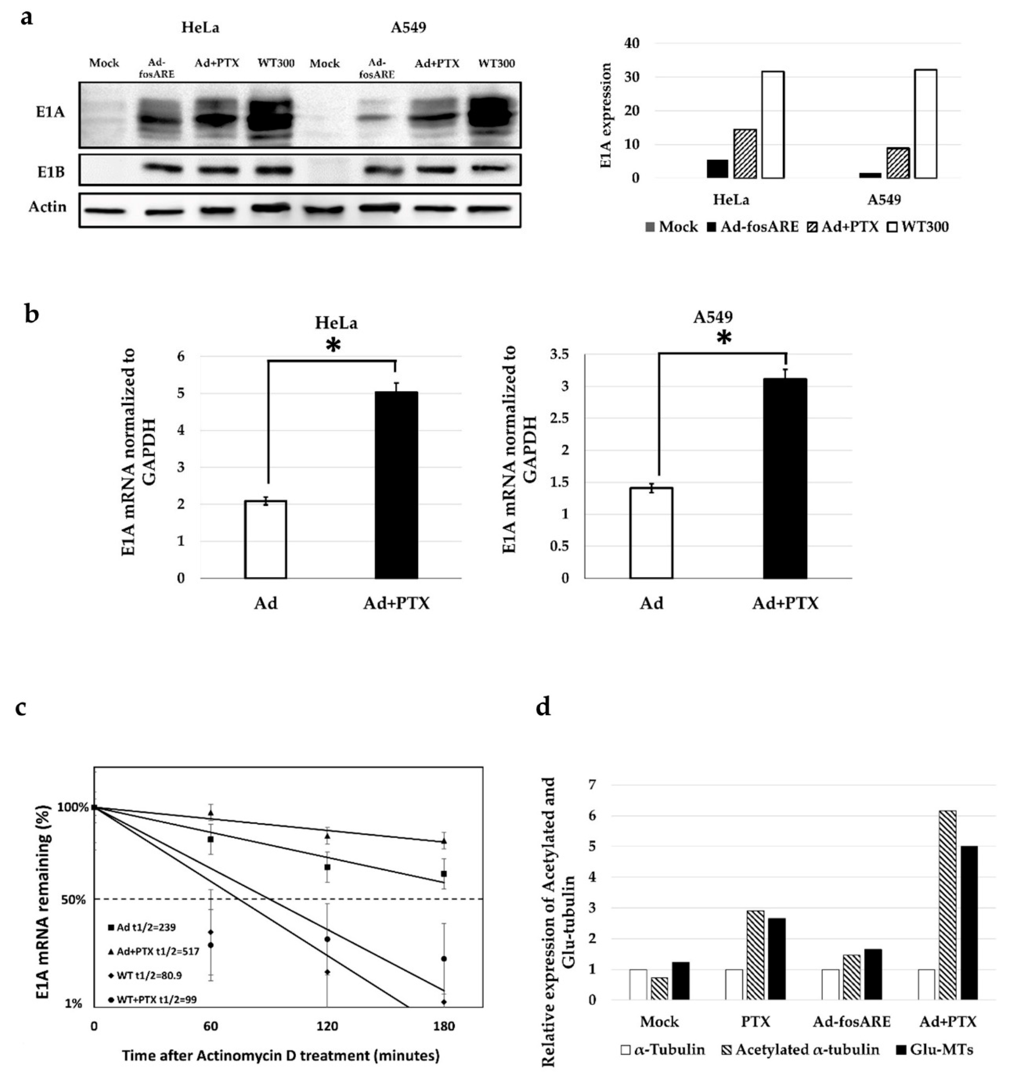 Cancers 12 01210 g007
