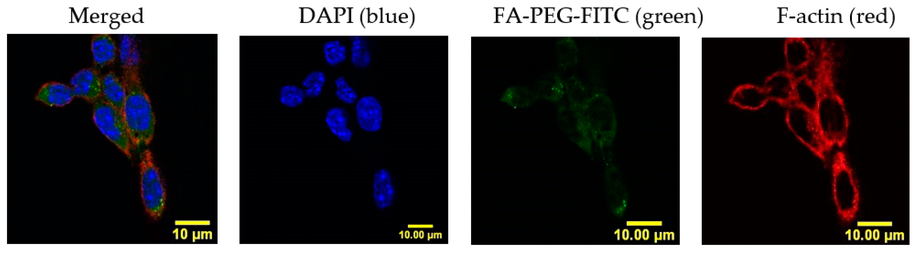 Cancers 12 01215 g002