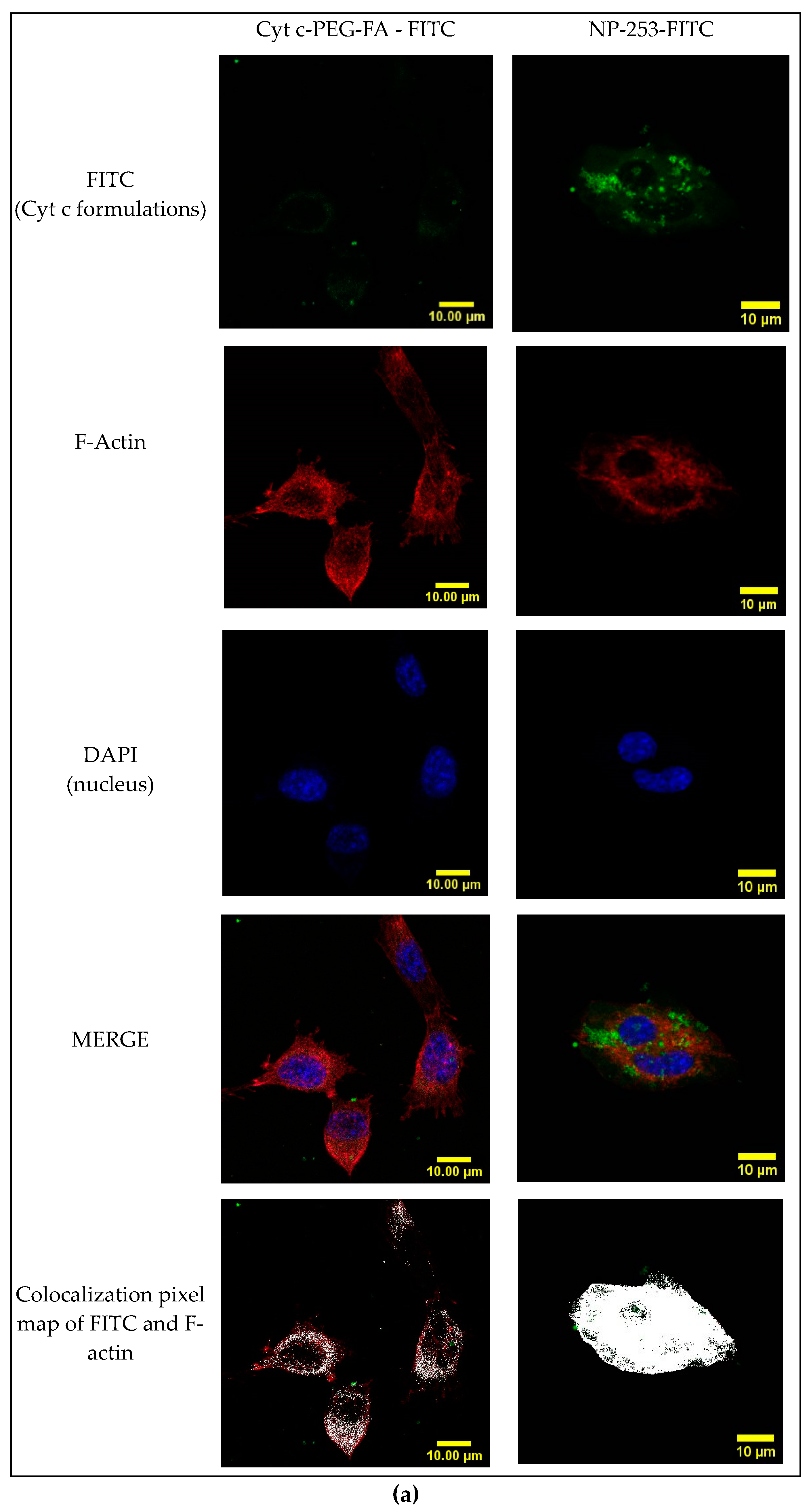 Cancers 12 01215 g011a