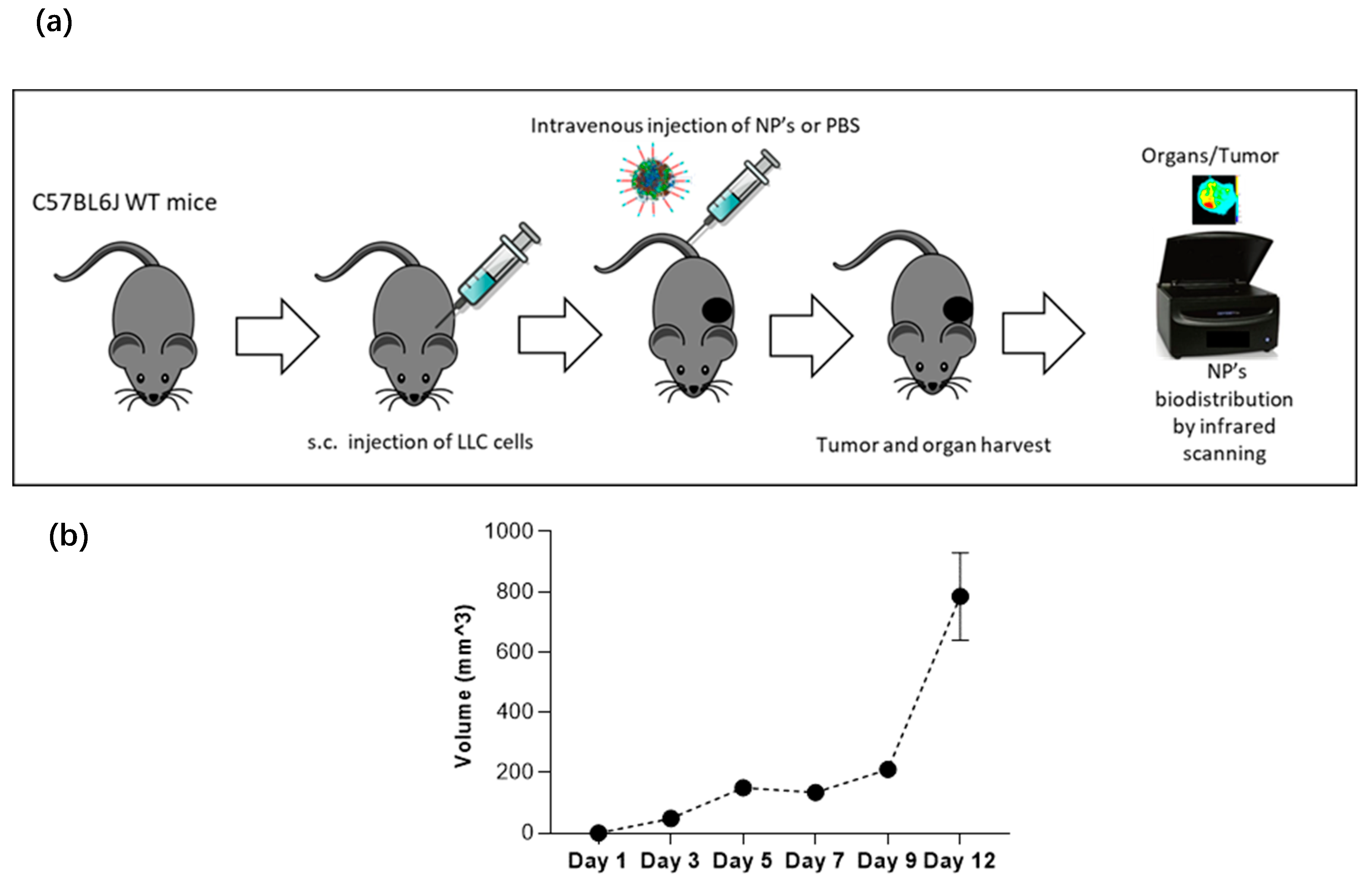 Cancers 12 01215 g012