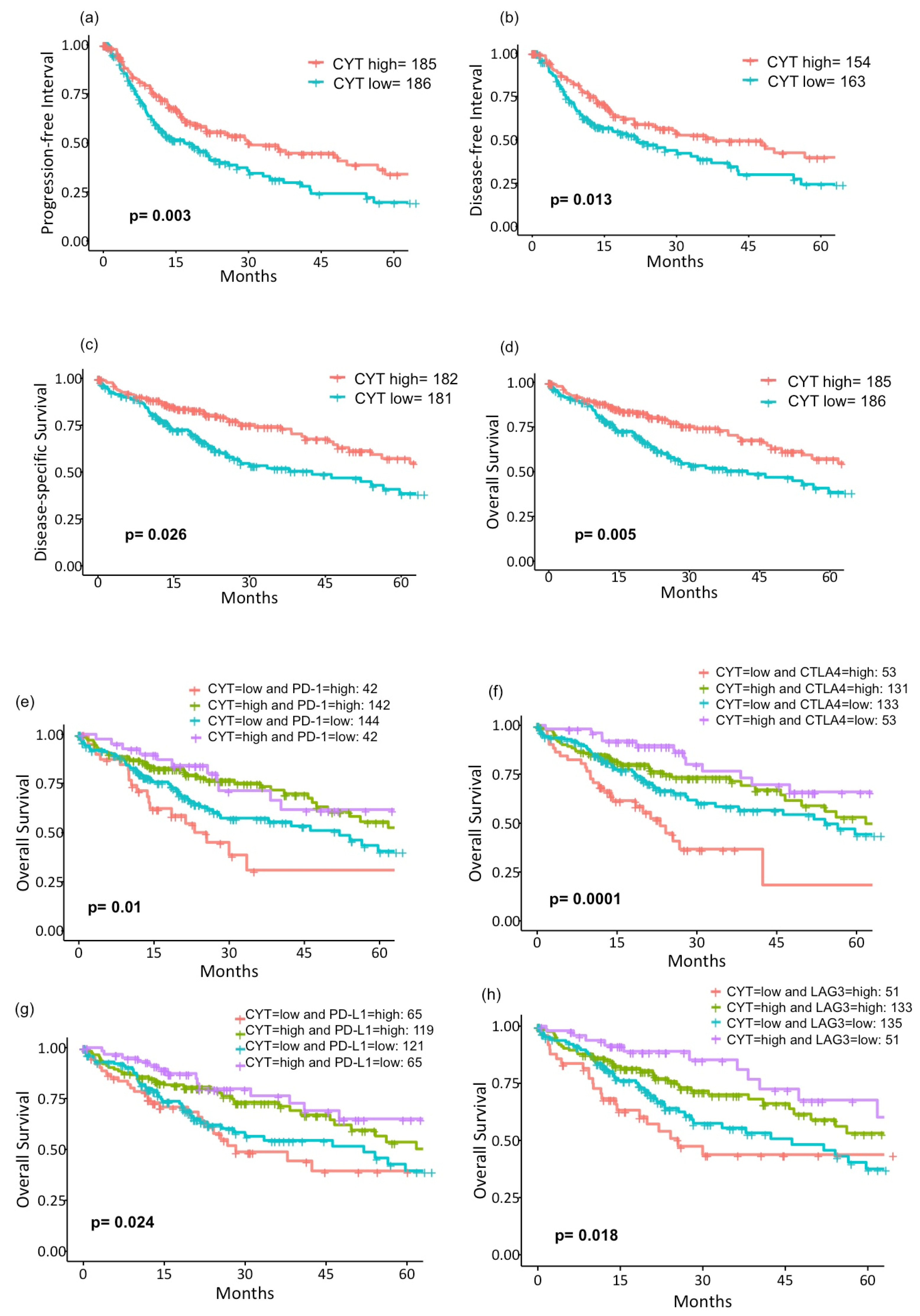 Cancers 12 01221 g005 Cancers 12 01221 g005