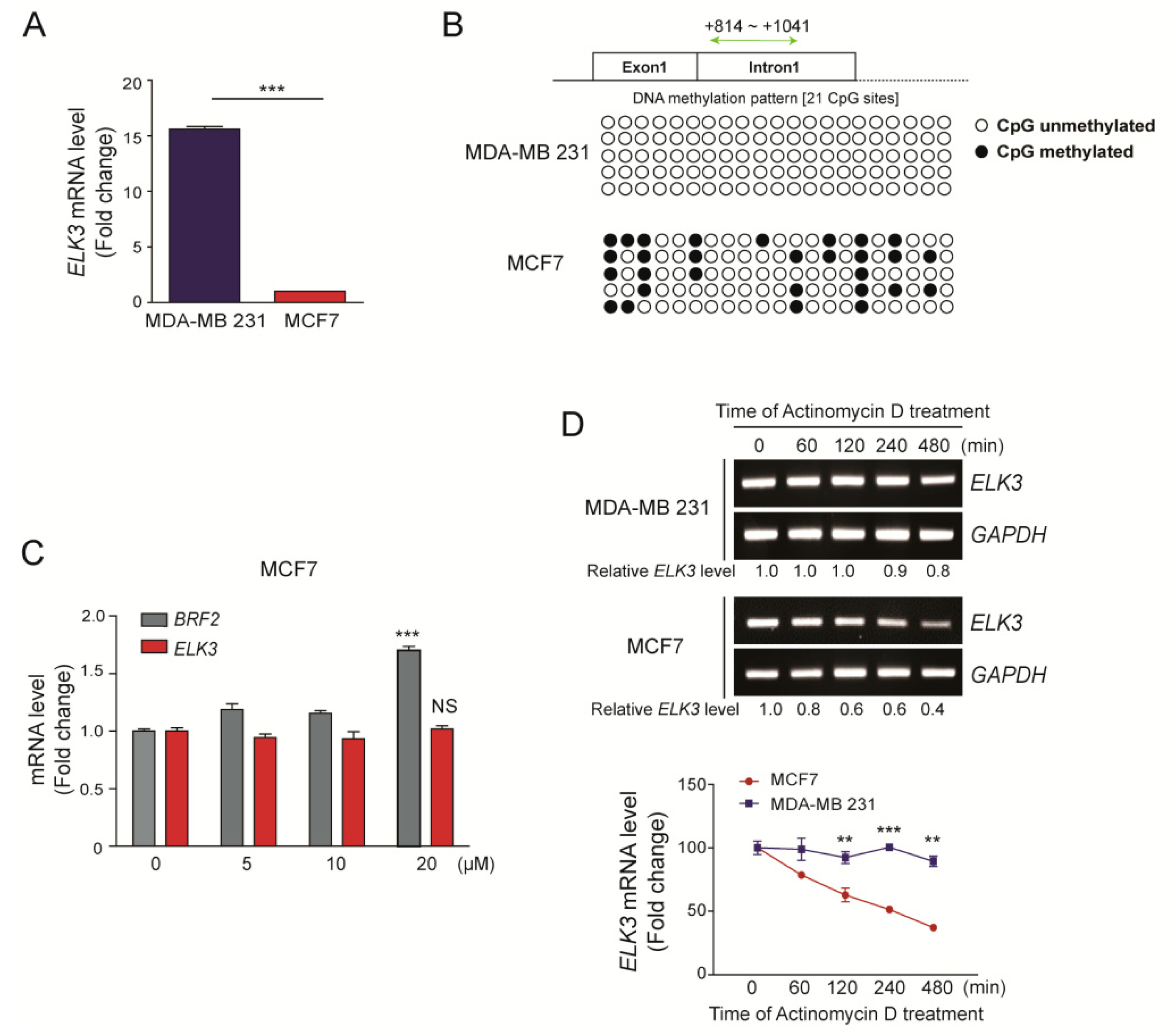 Cancers 12 01225 g001