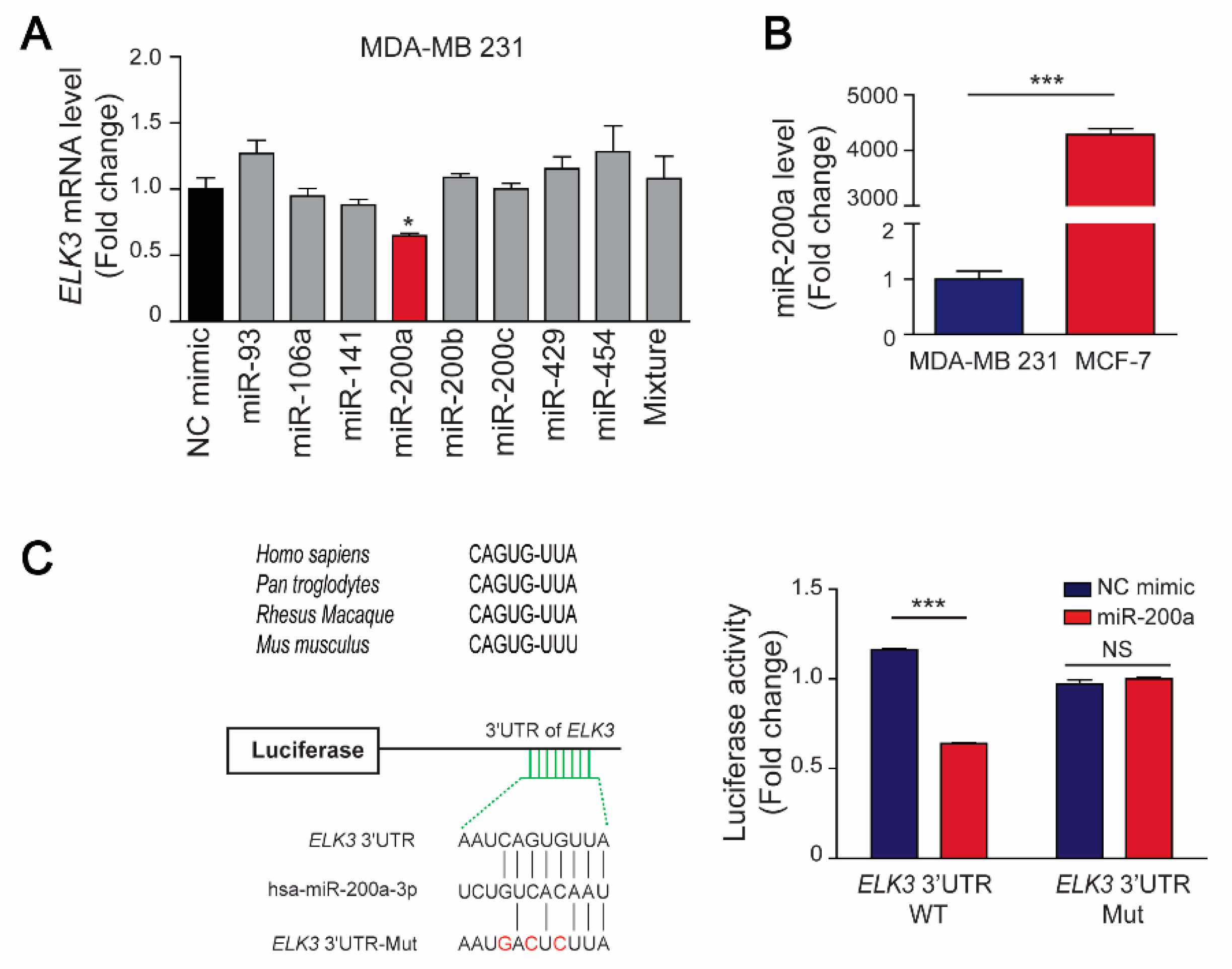 Cancers 12 01225 g003