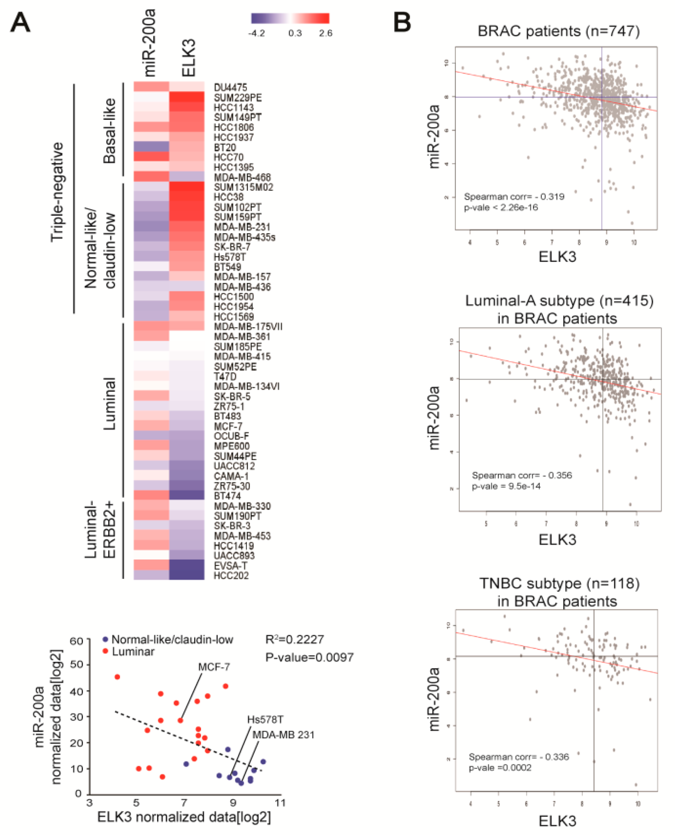 Cancers 12 01225 g004