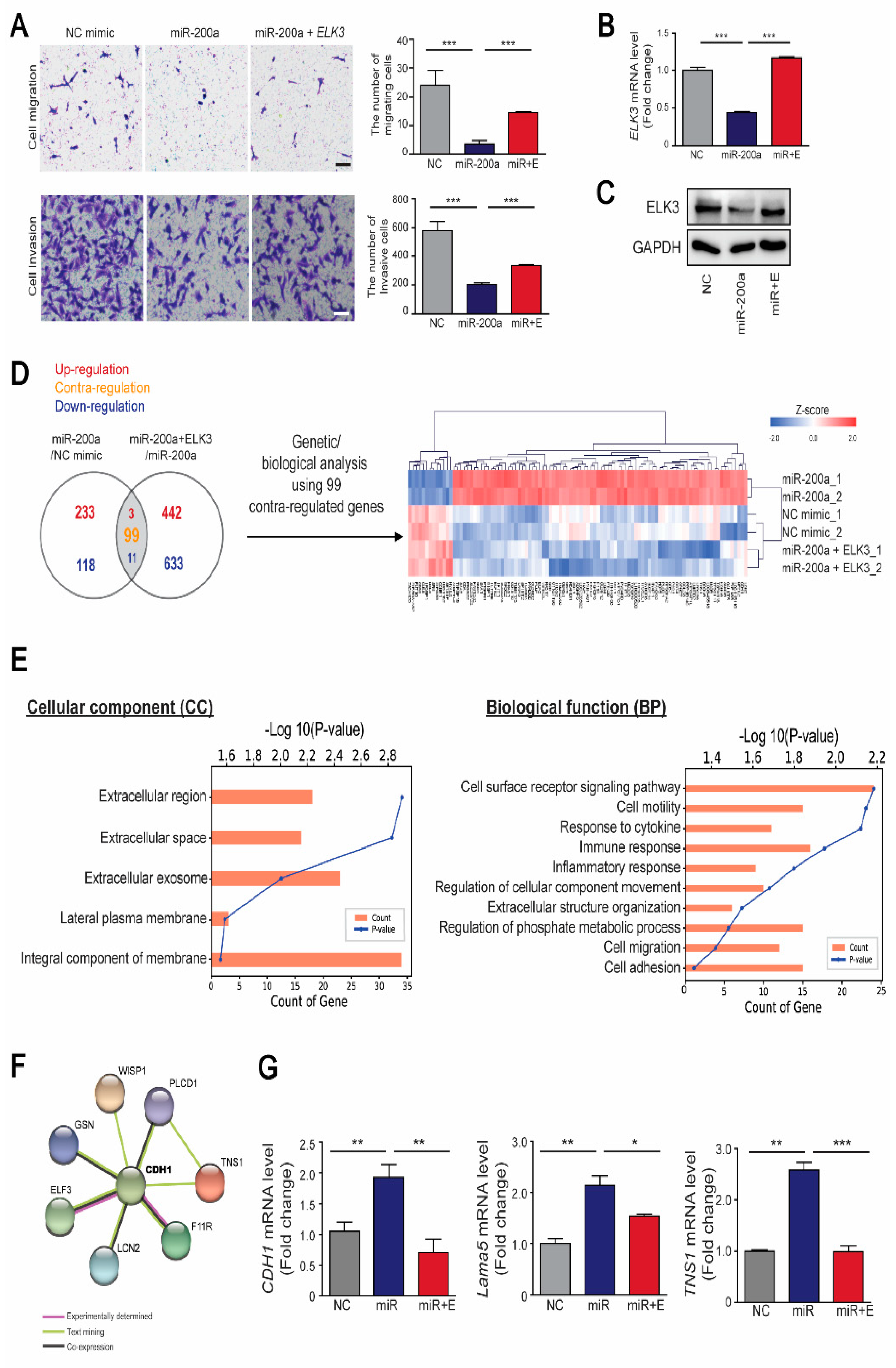 Cancers 12 01225 g005