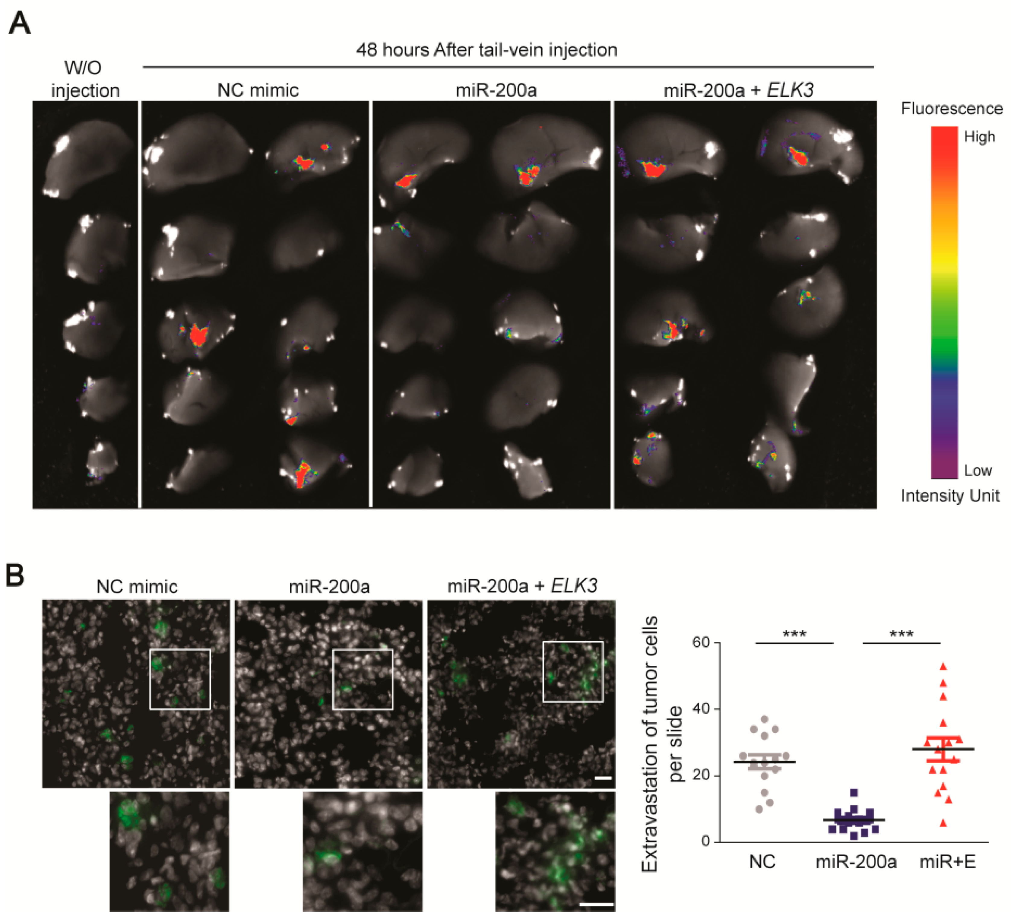 Cancers 12 01225 g006