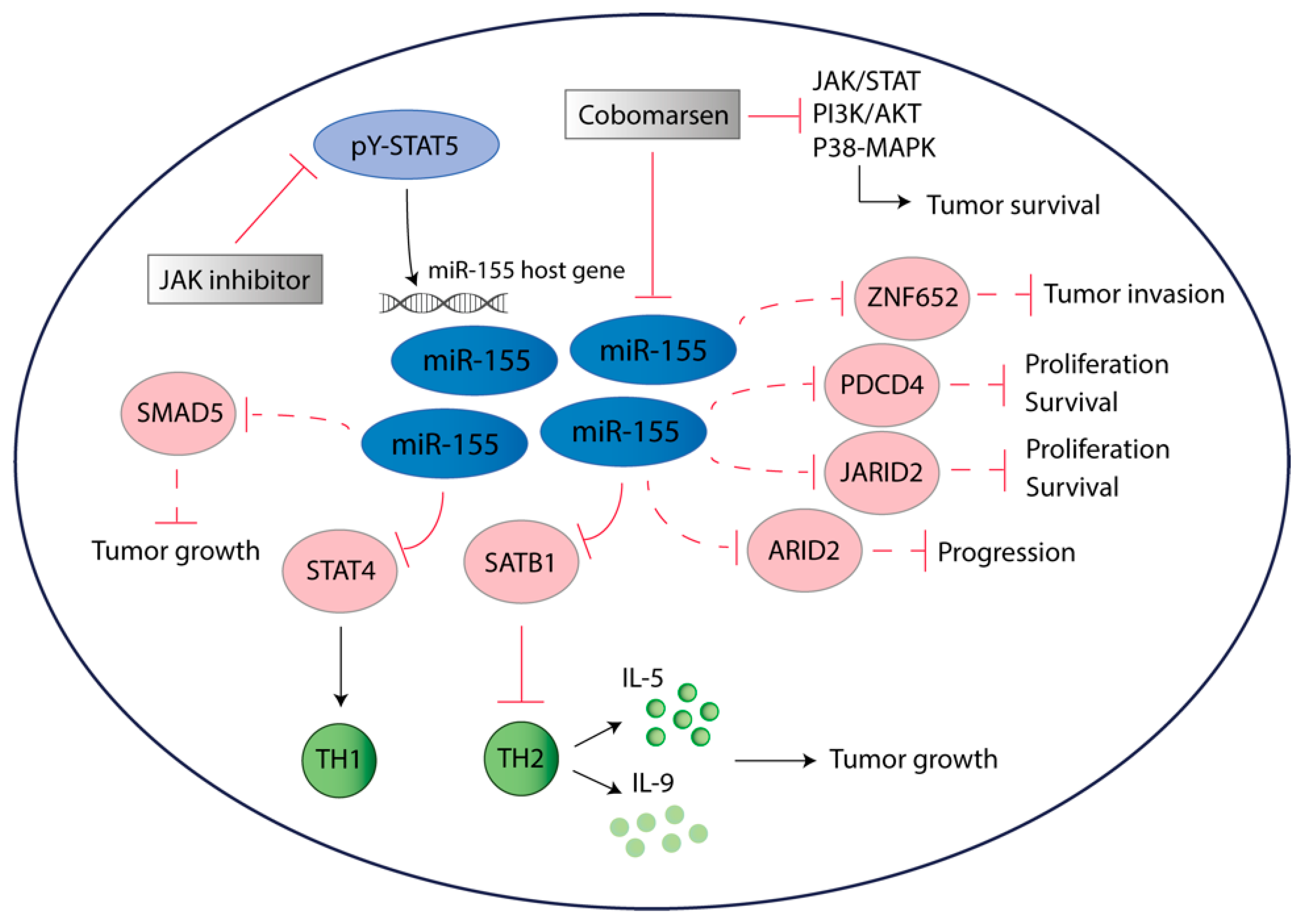 Cancers 12 01229 g002 Cancers 12 01229 g002