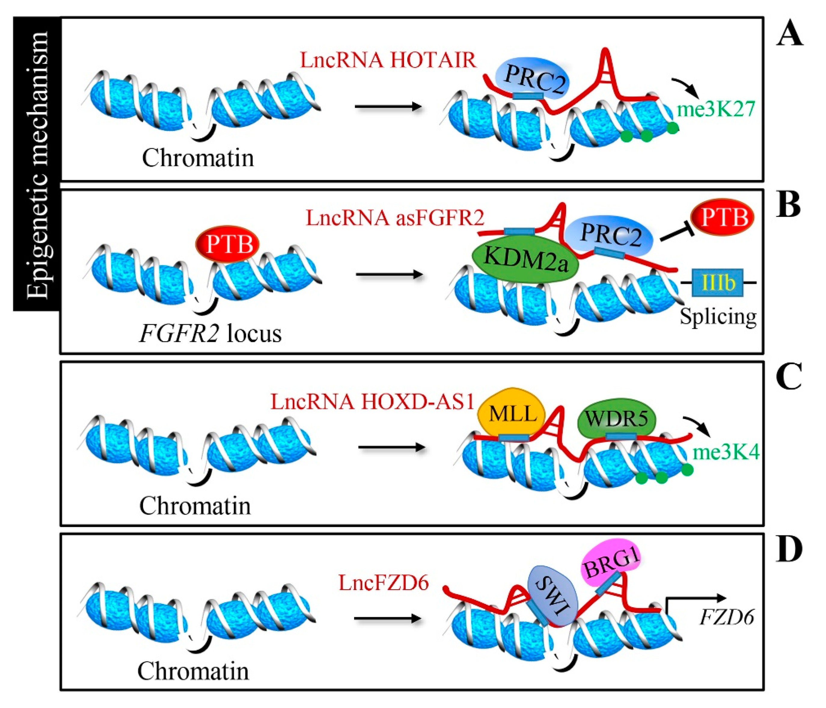 Cancers 12 01245 g002