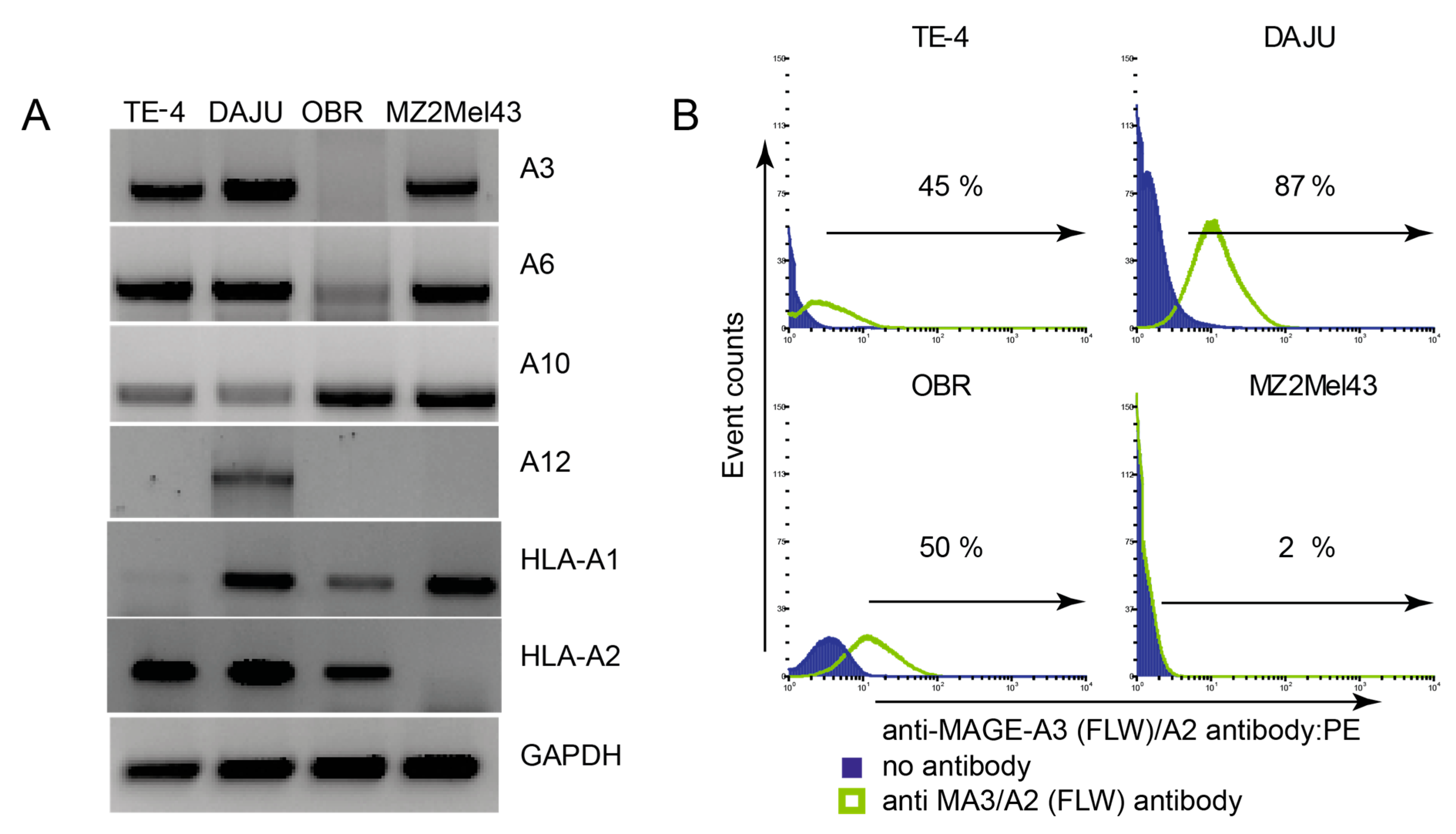 Cancers 12 01255 g003