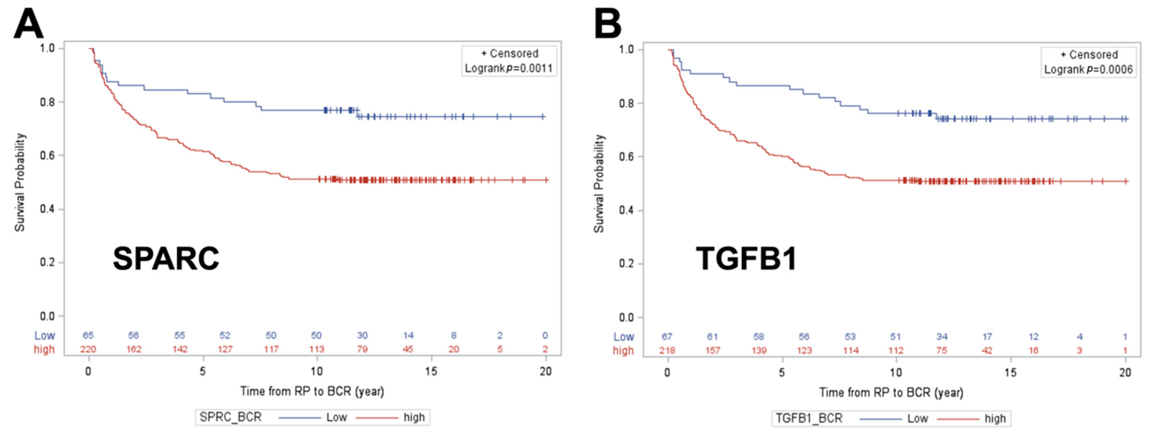 Cancers 12 01268 g003 Cancers 12 01268 g003
