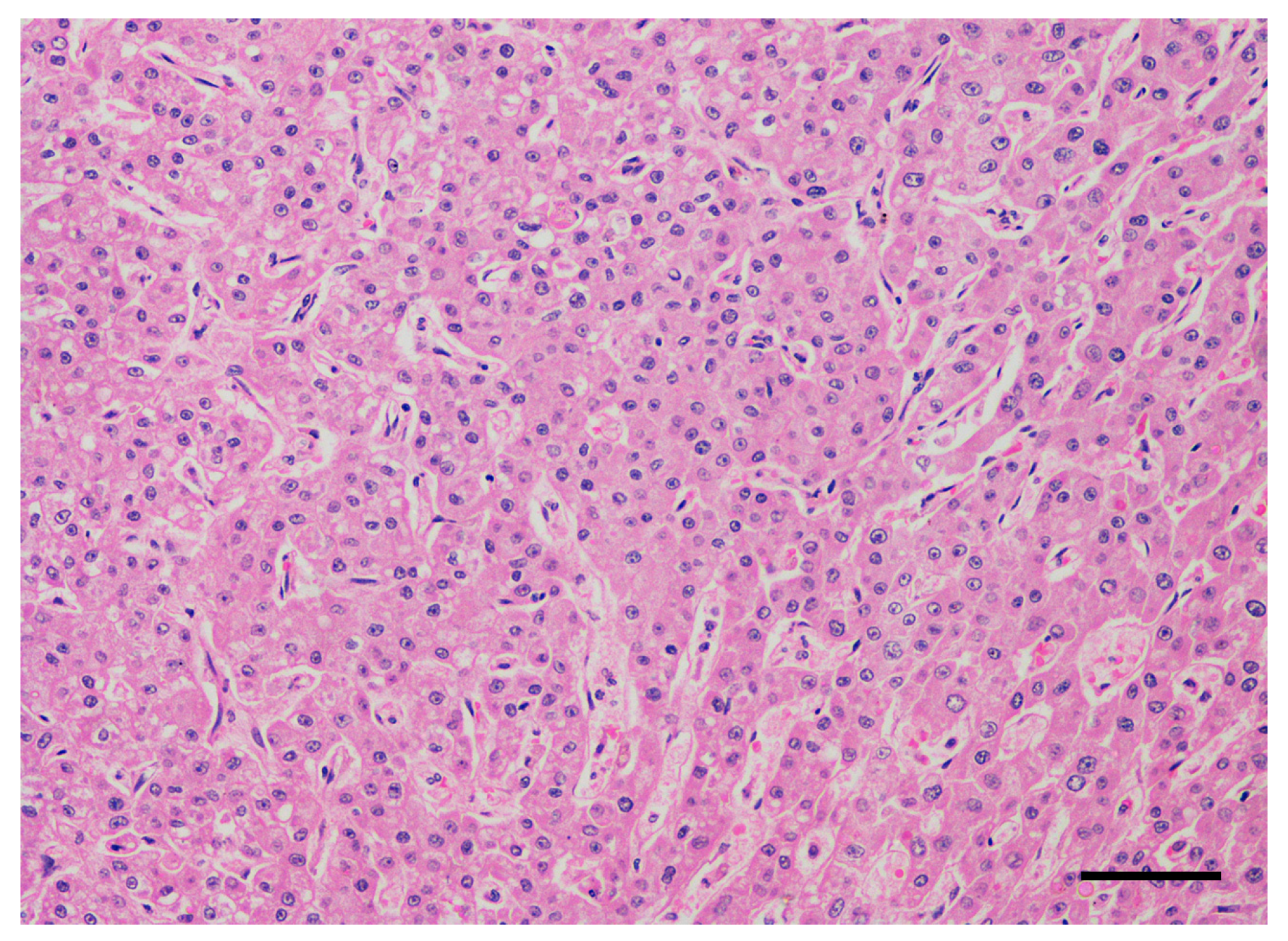 Cancers 12 01272 g001