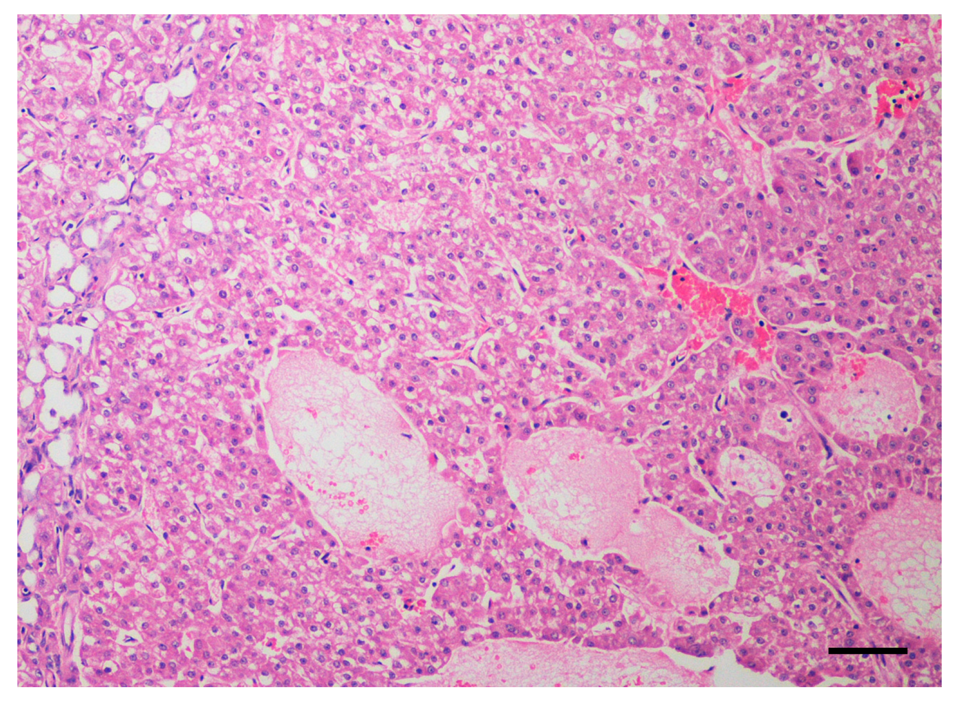 Cancers 12 01272 g003