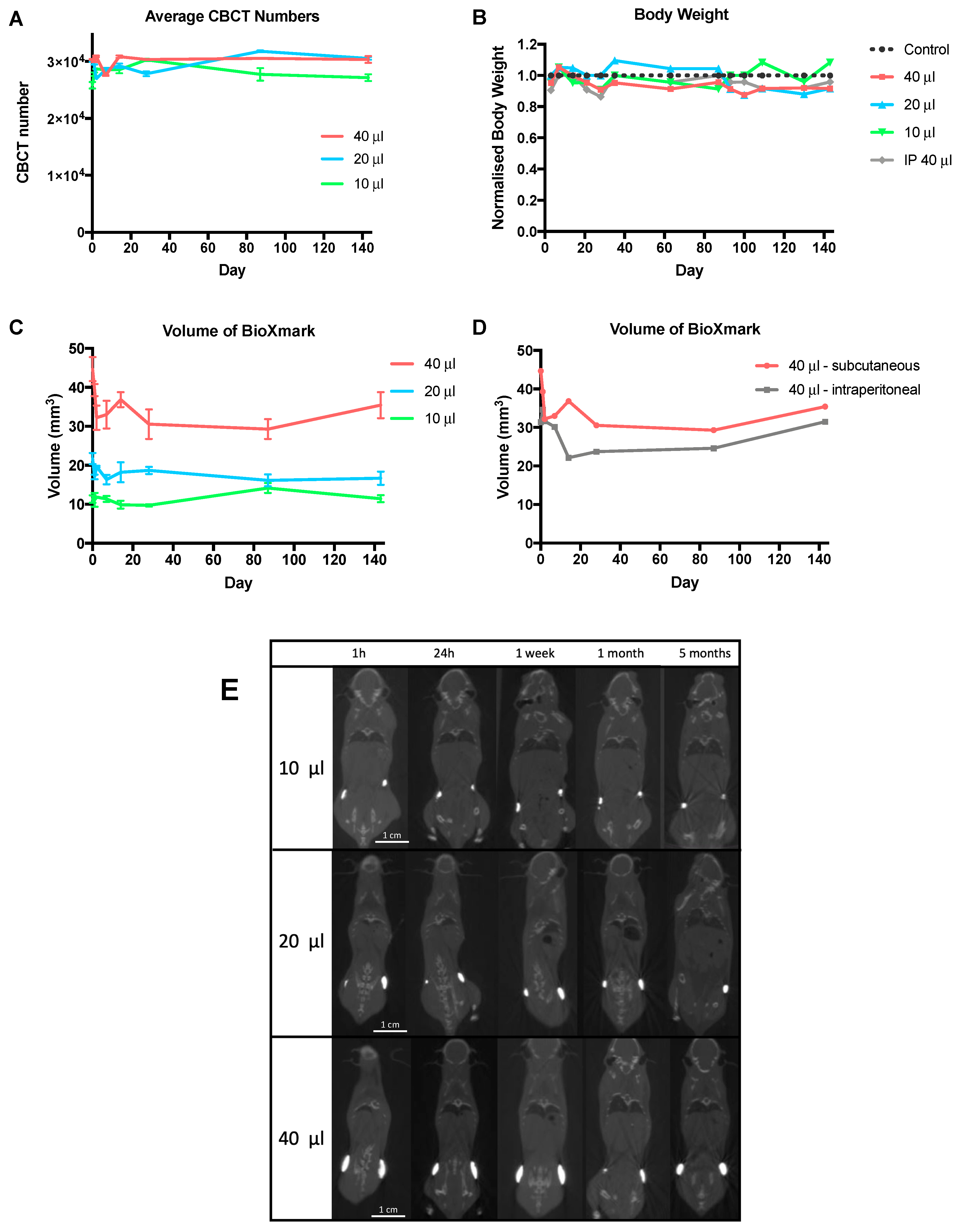Cancers 12 01276 g003