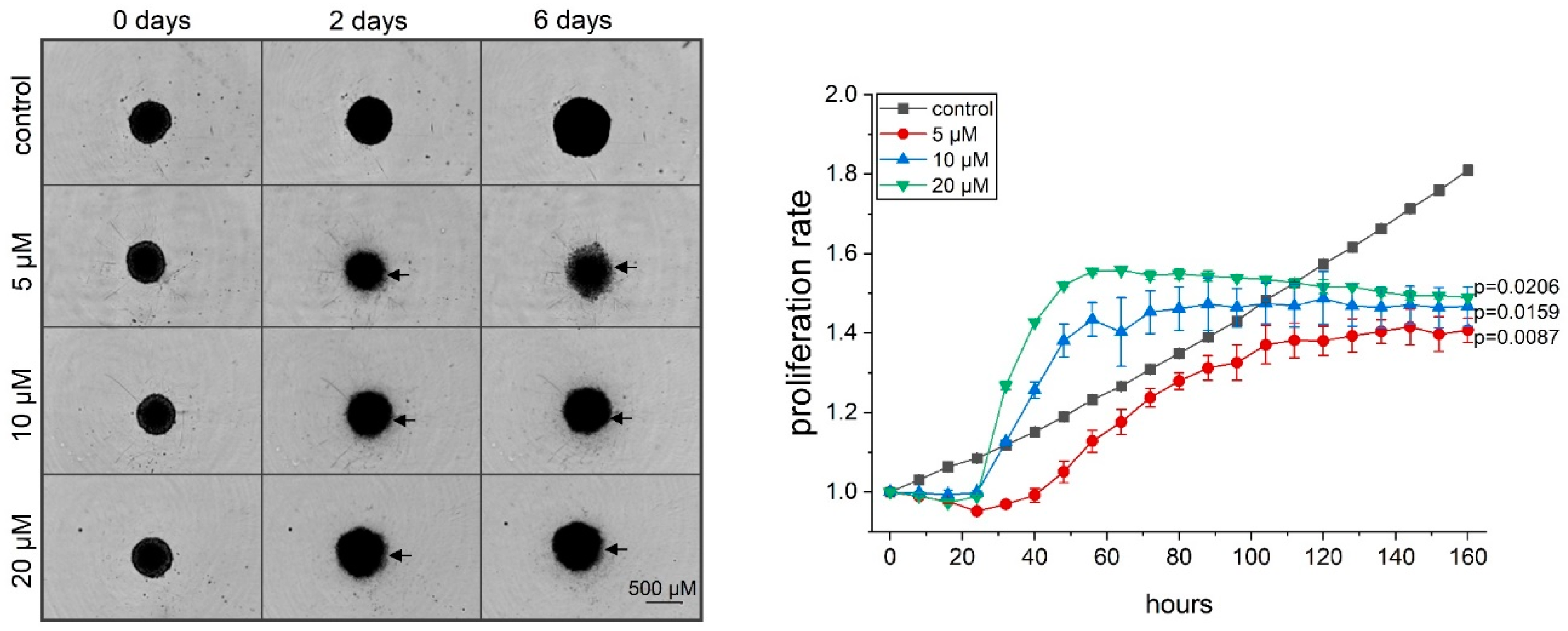 Cancers 12 01288 g004