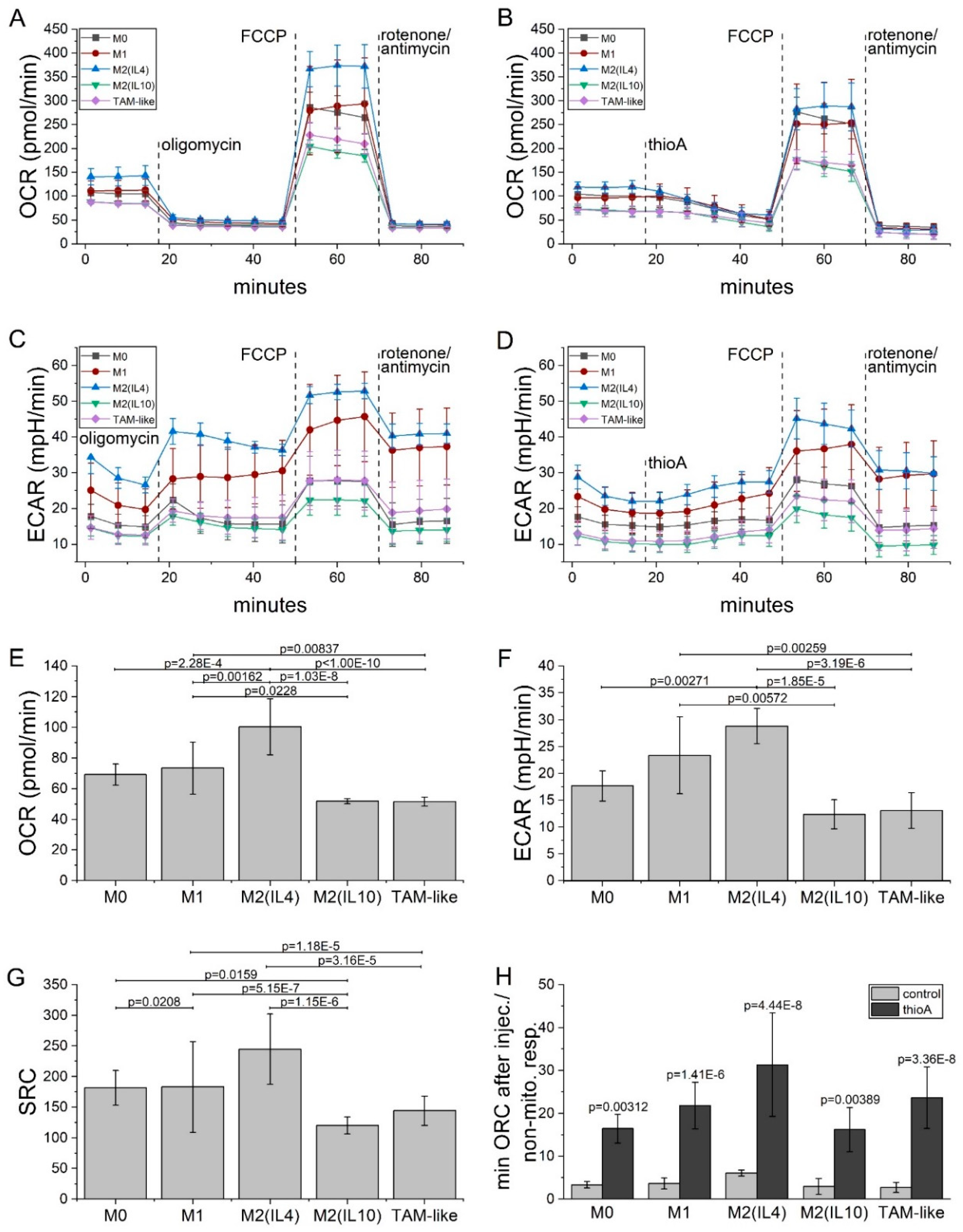 Cancers 12 01288 g007