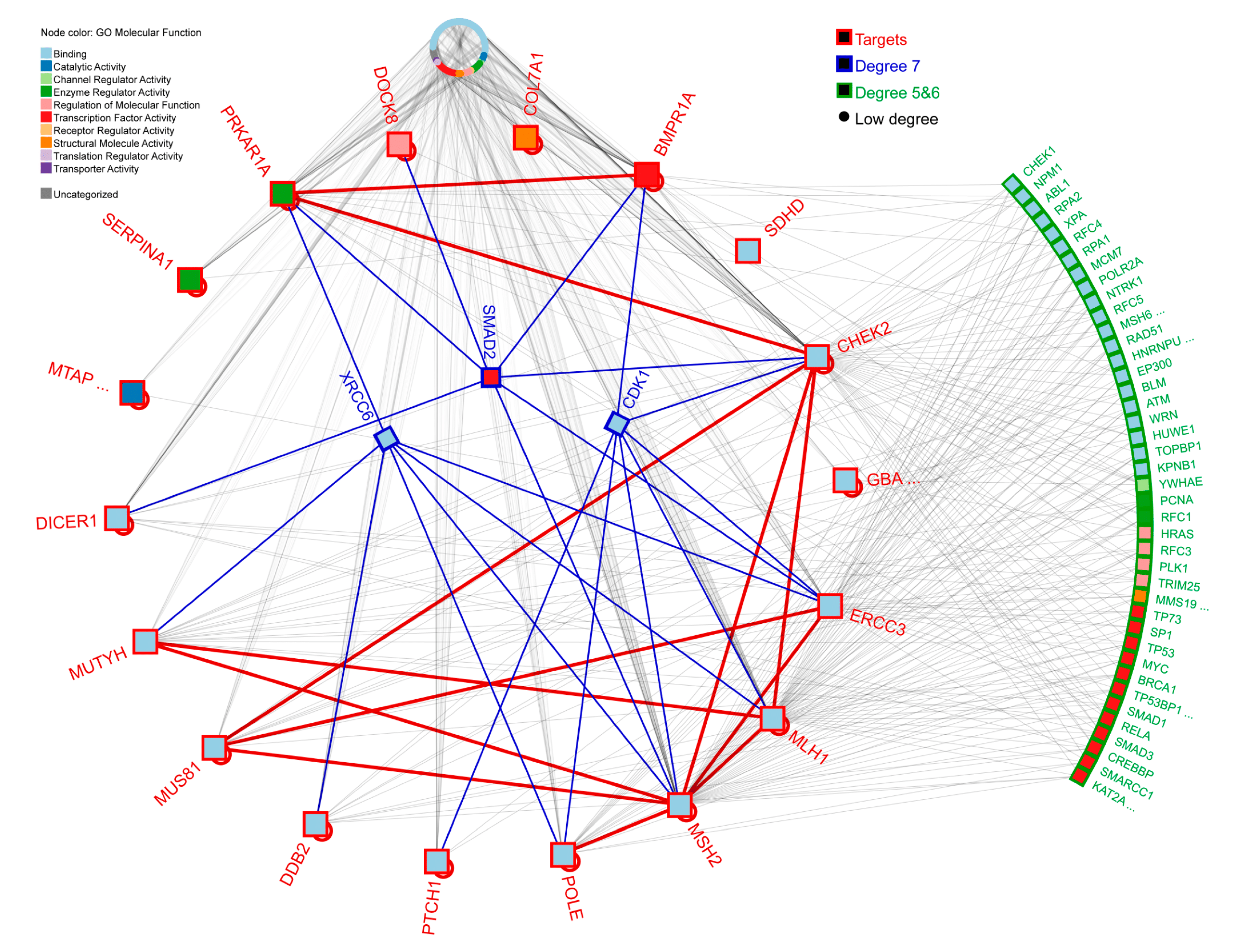 Cancers 12 01289 g002 Cancers 12 01289 g002