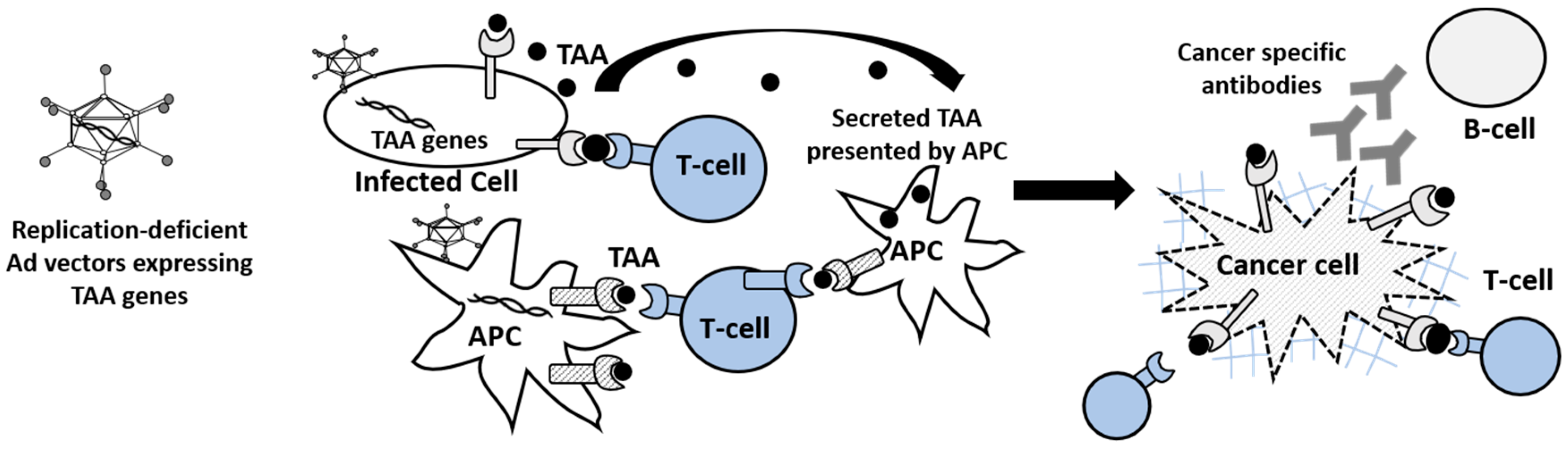 Cancers 12 01295 g001