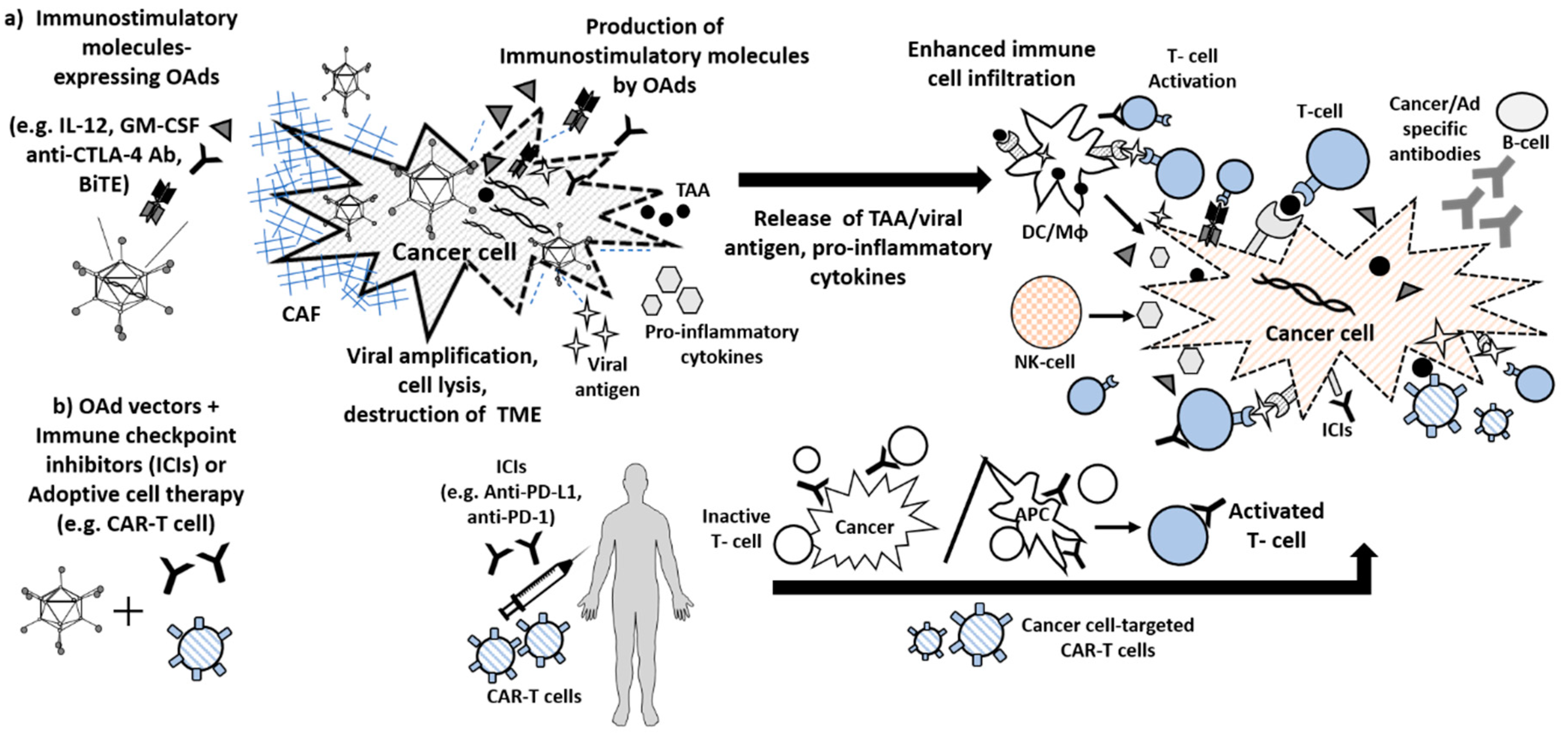 Cancers 12 01295 g002