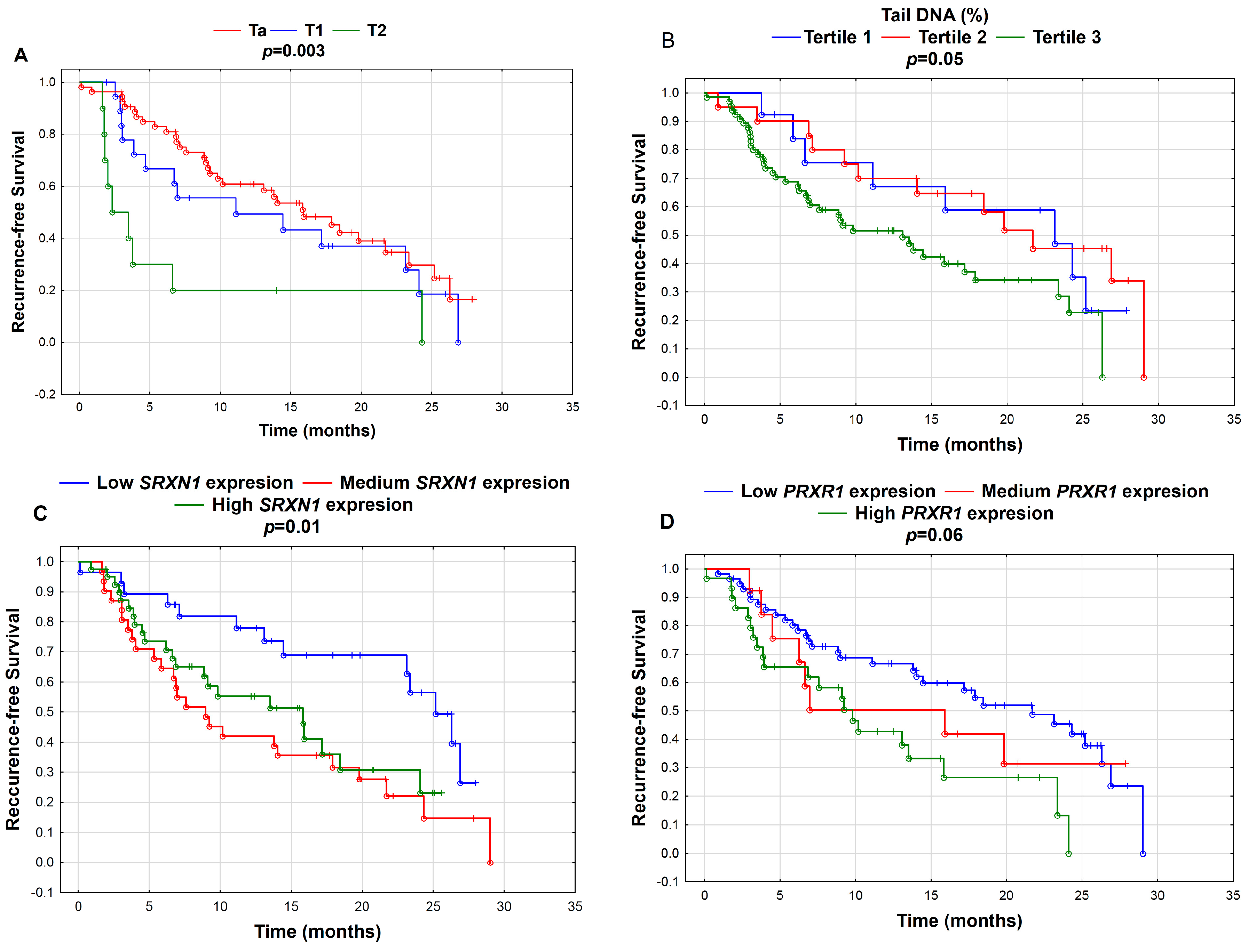 Cancers 12 01296 g001