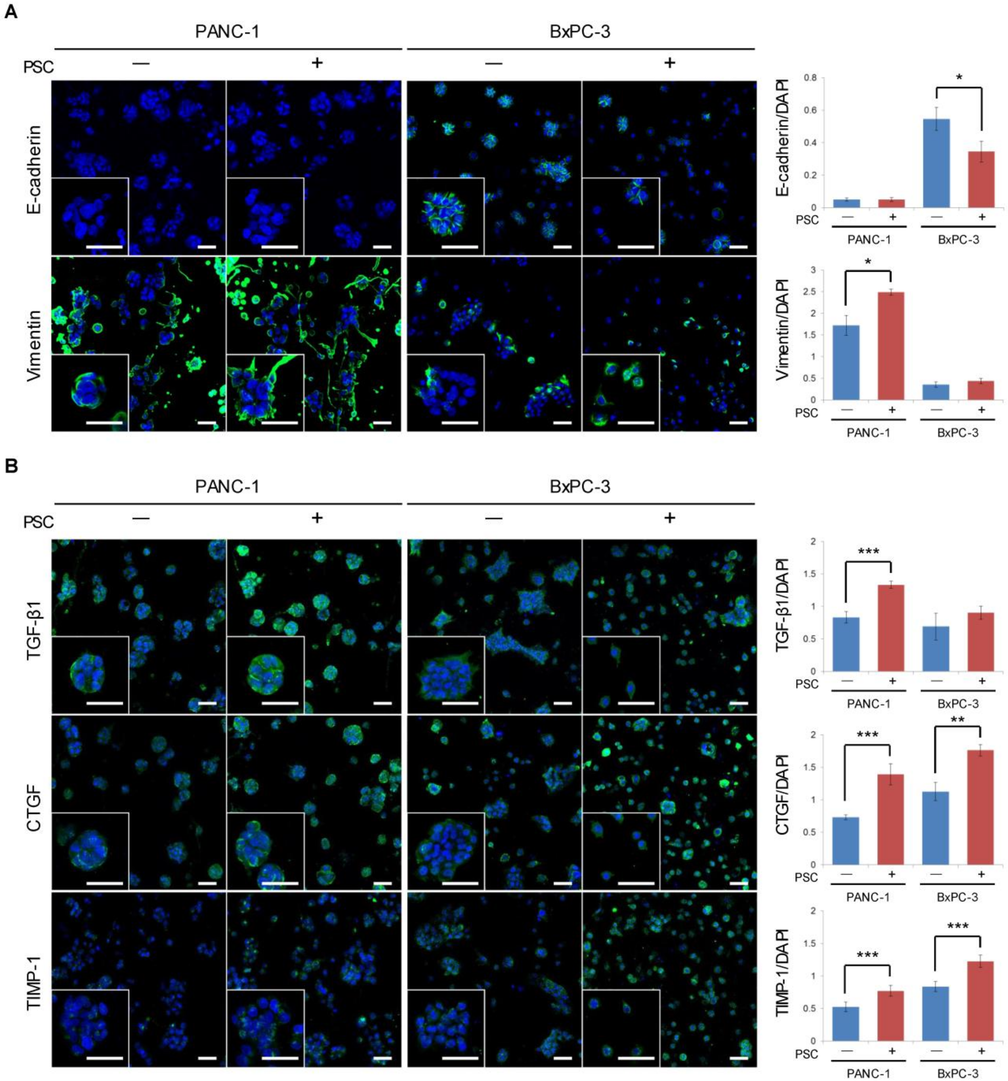 Cancers 12 01305 g002