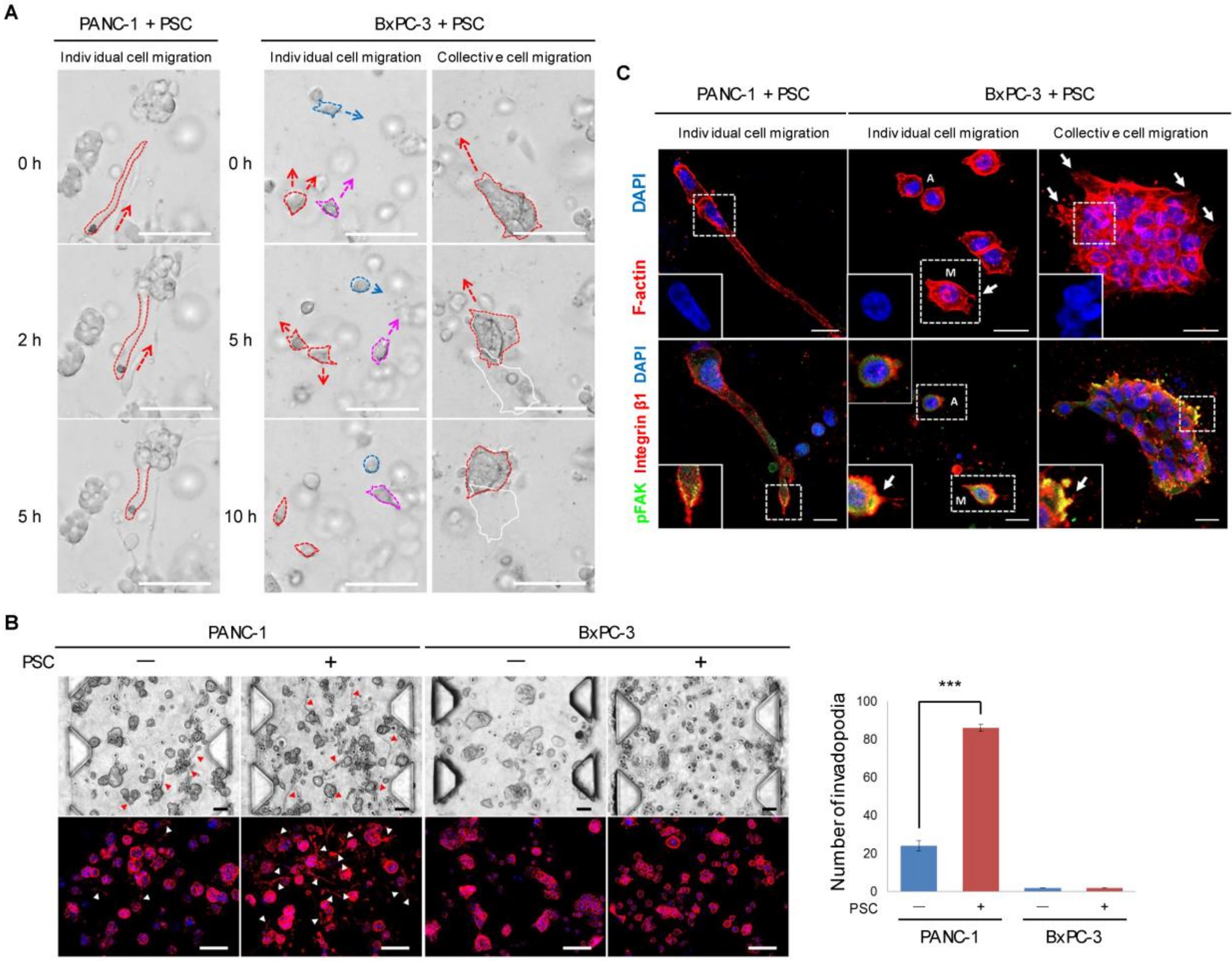 Cancers 12 01305 g003