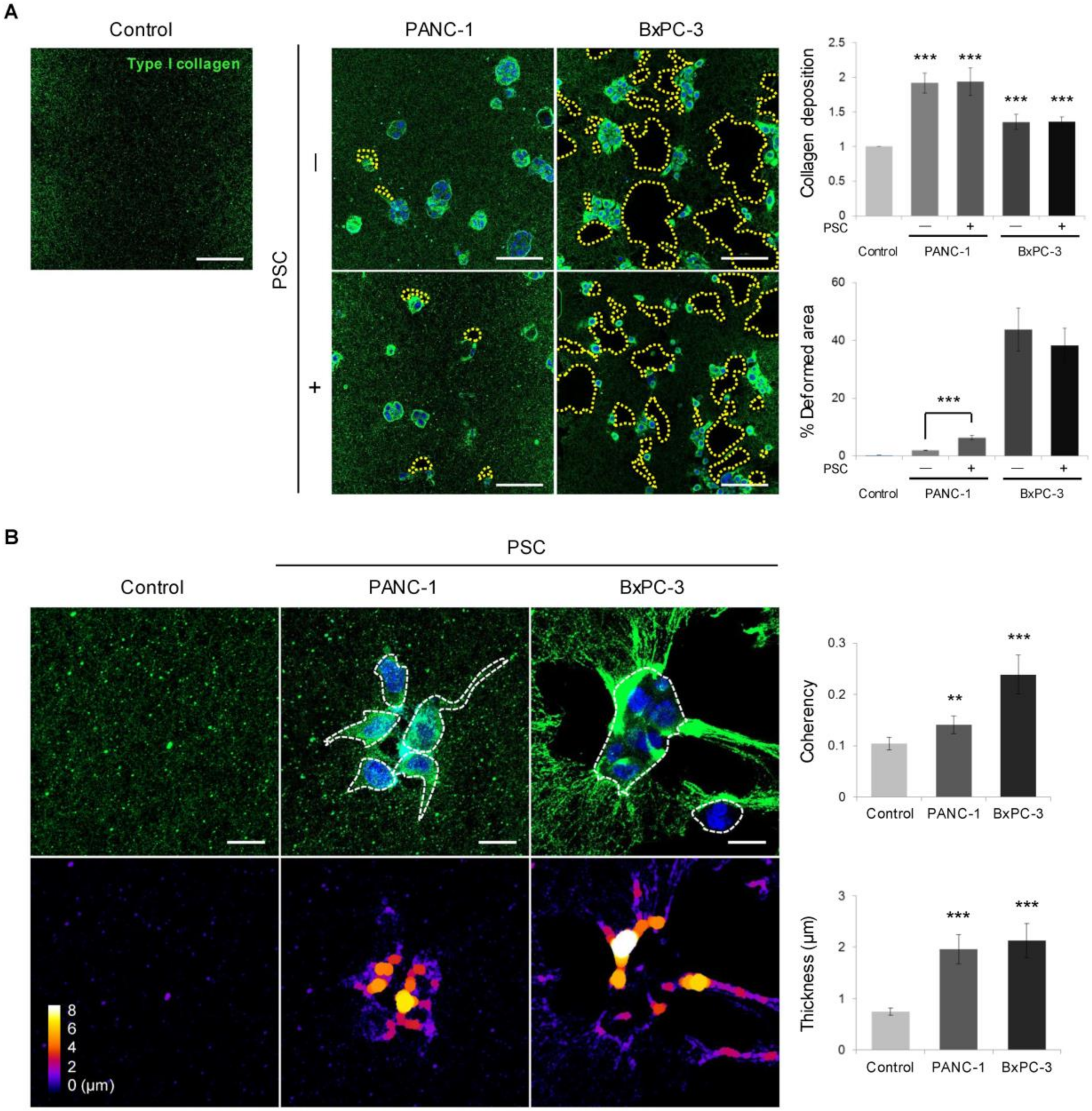 Cancers 12 01305 g004