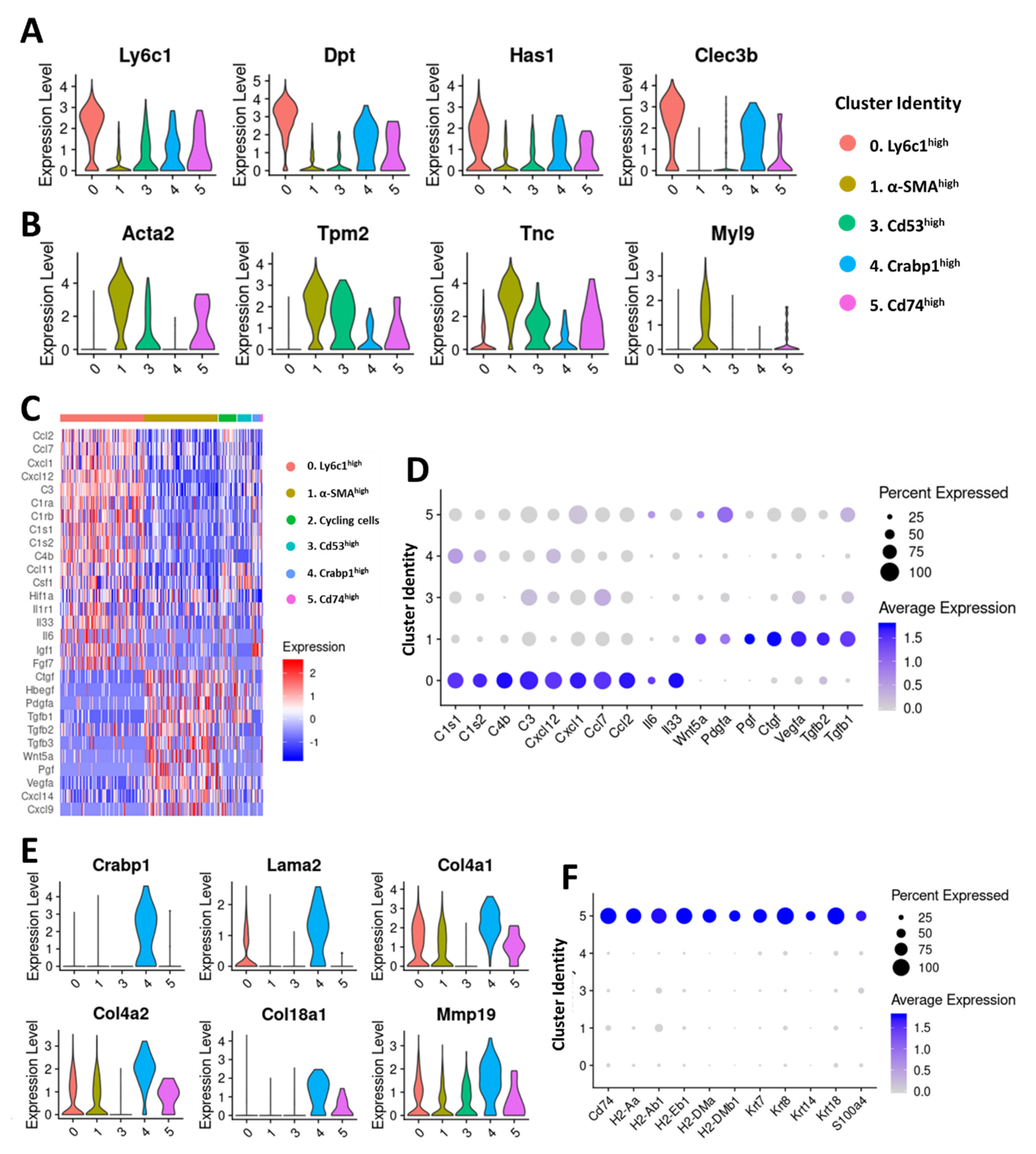Cancers 12 01307 g003