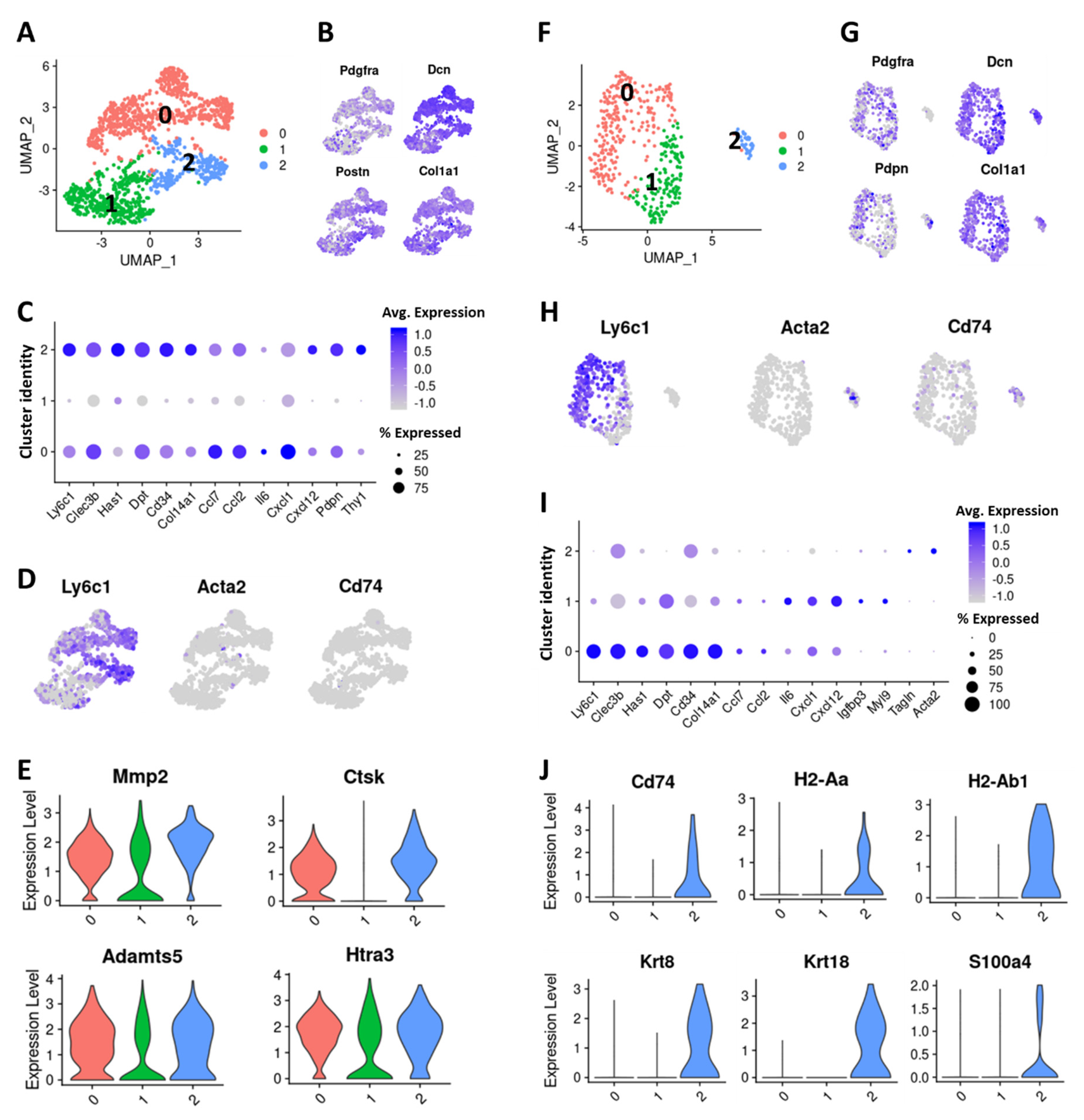 Cancers 12 01307 g005