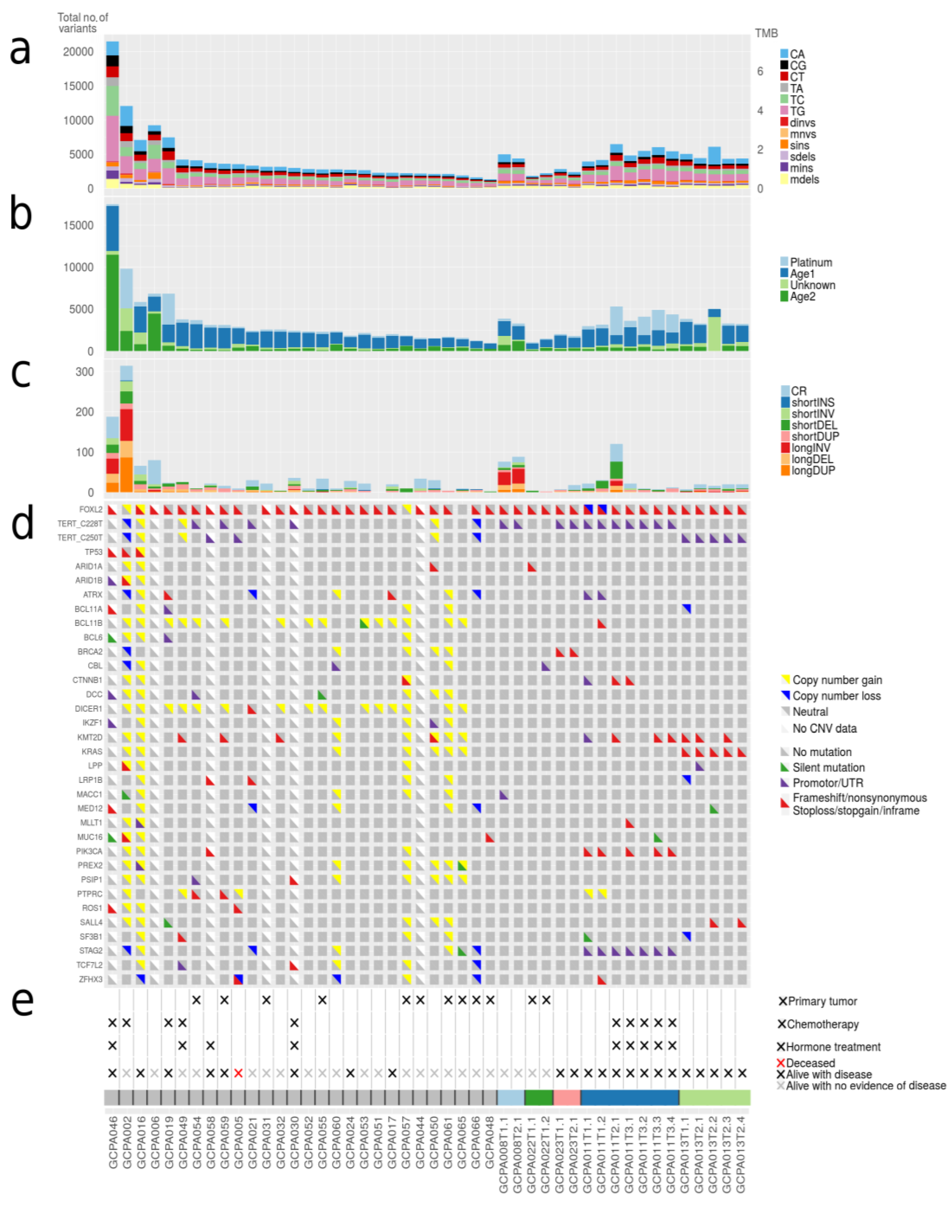 Cancers 12 01308 g002 Cancers 12 01308 g002