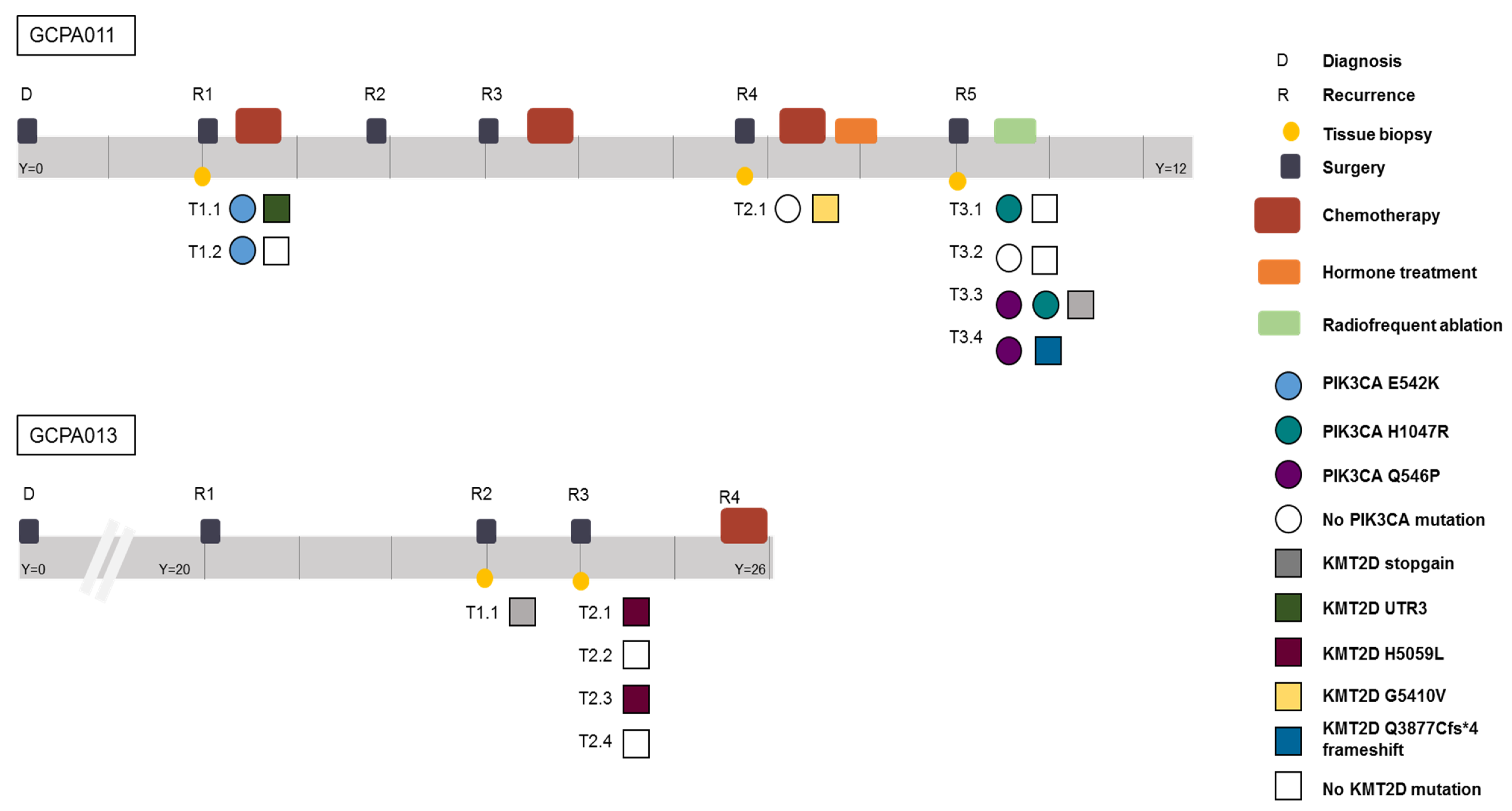 Cancers 12 01308 g006 Cancers 12 01308 g006
