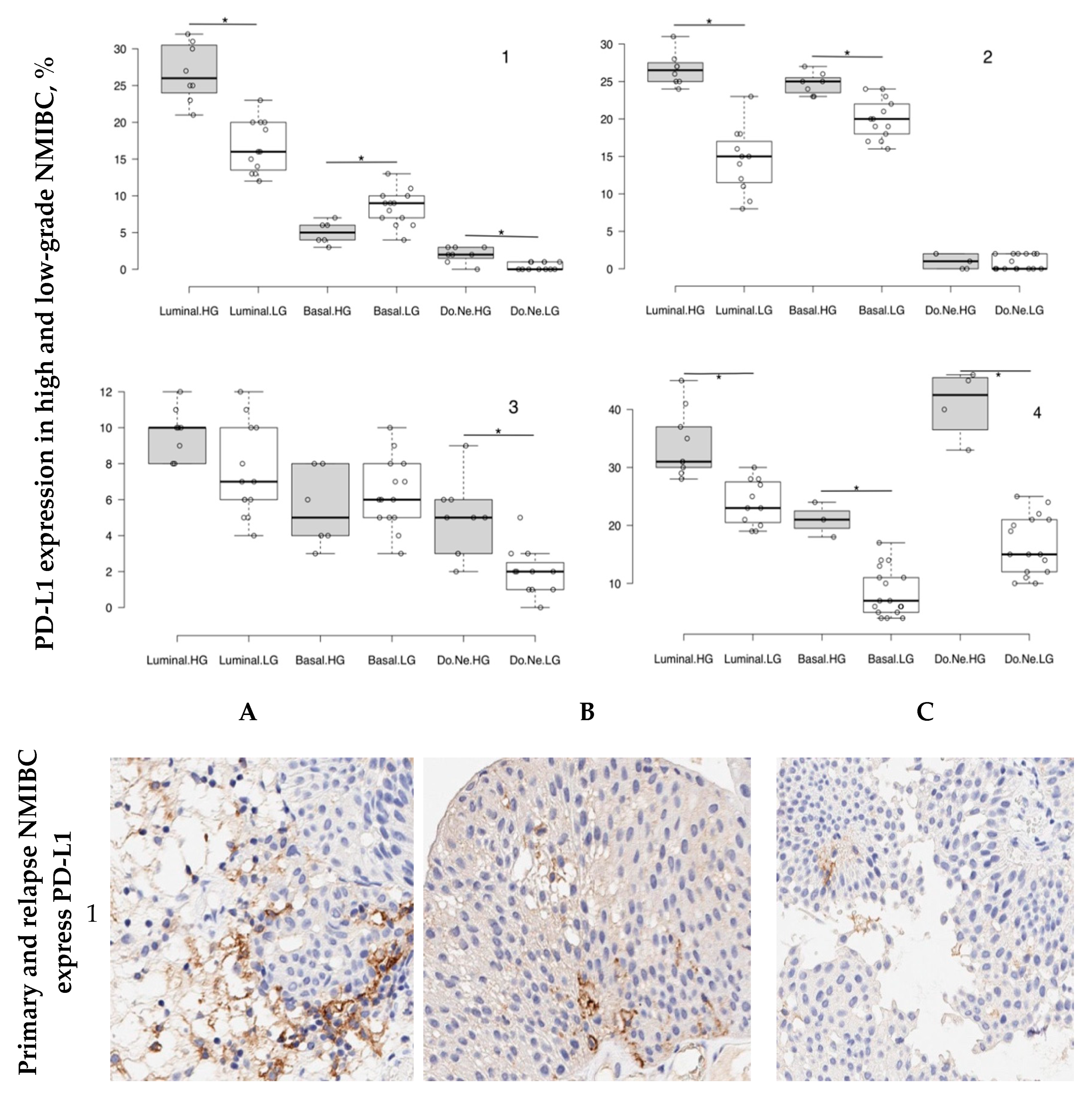 Cancers 12 01316 g001a
