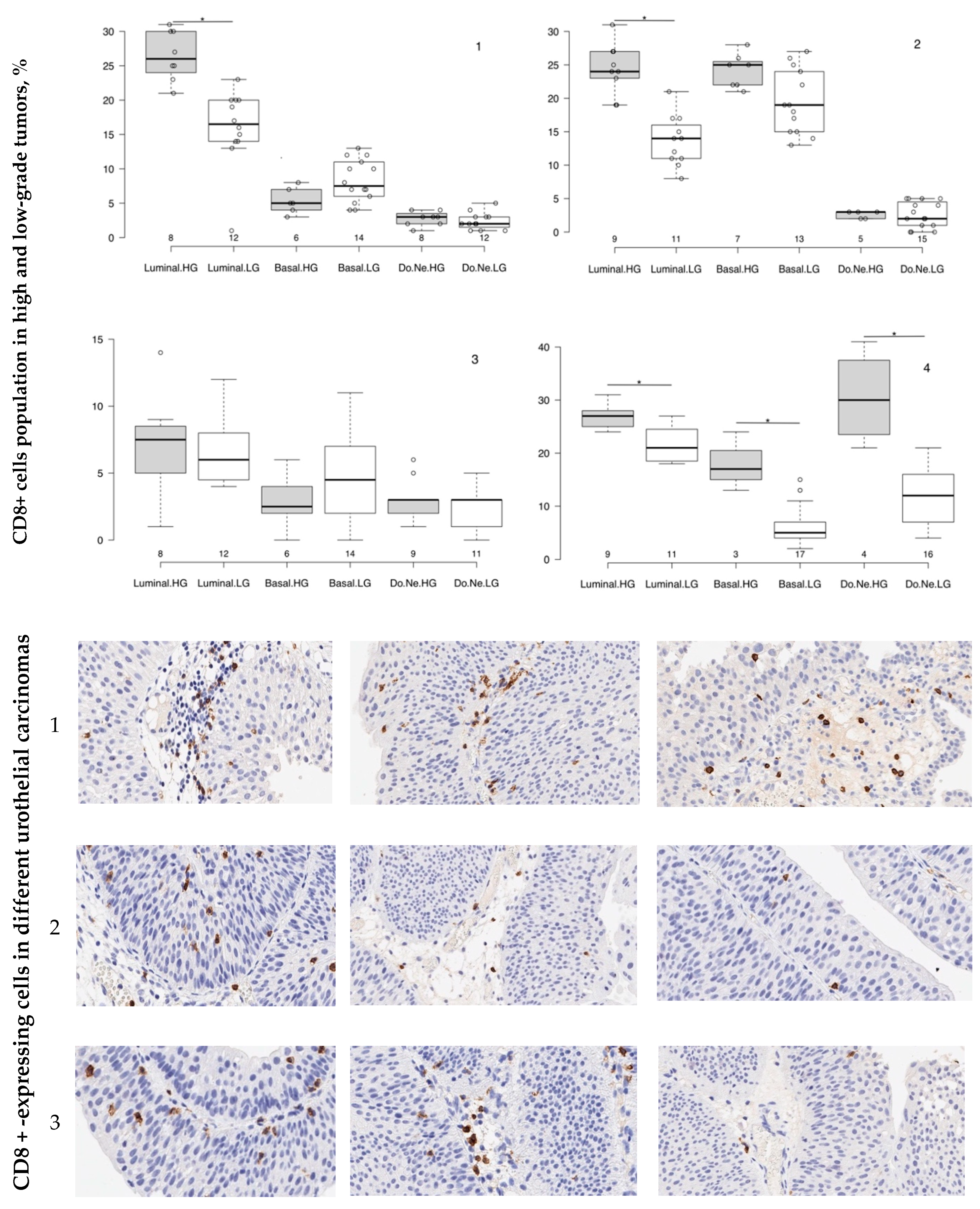 Cancers 12 01316 g002a