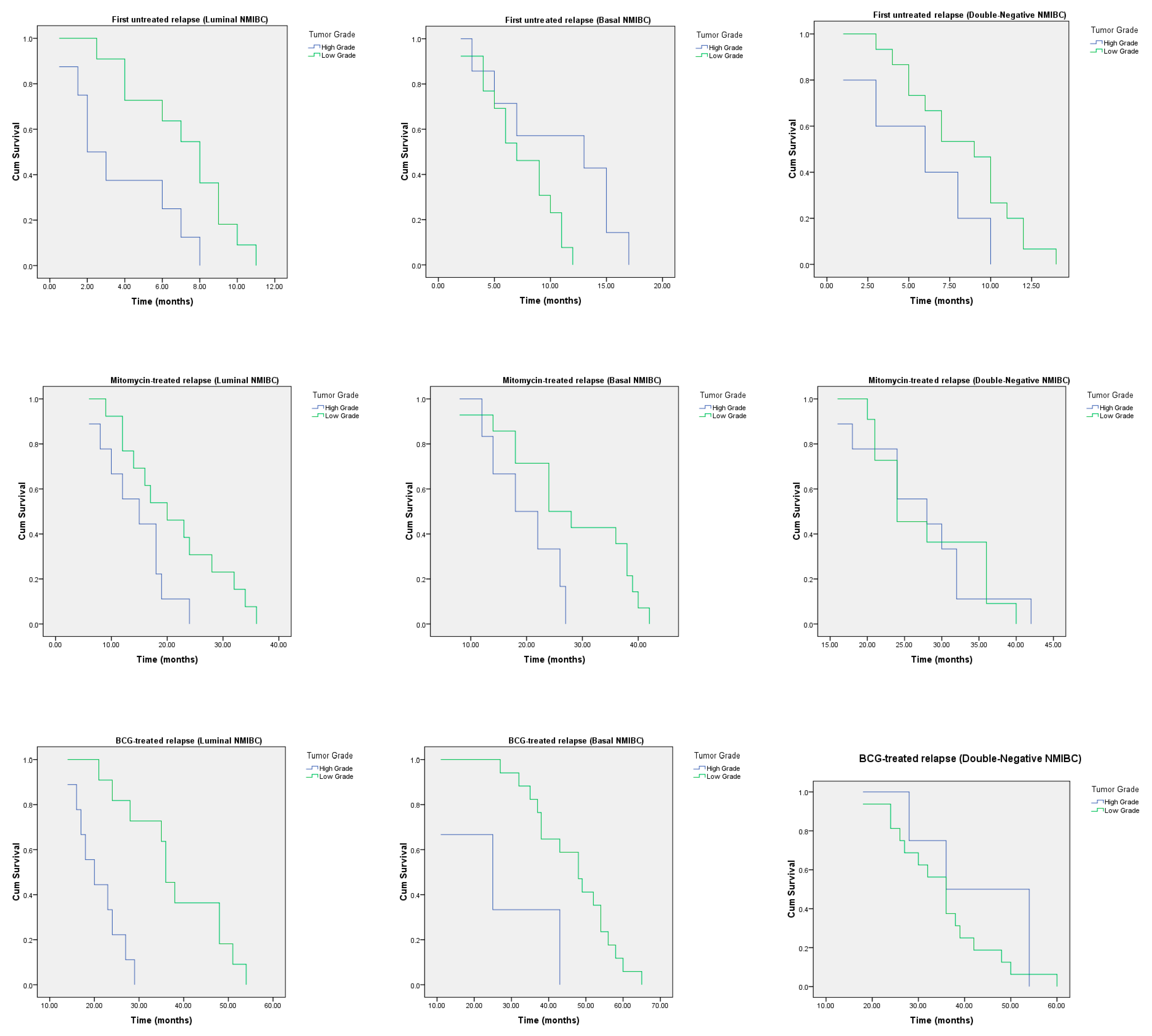Cancers 12 01316 g004
