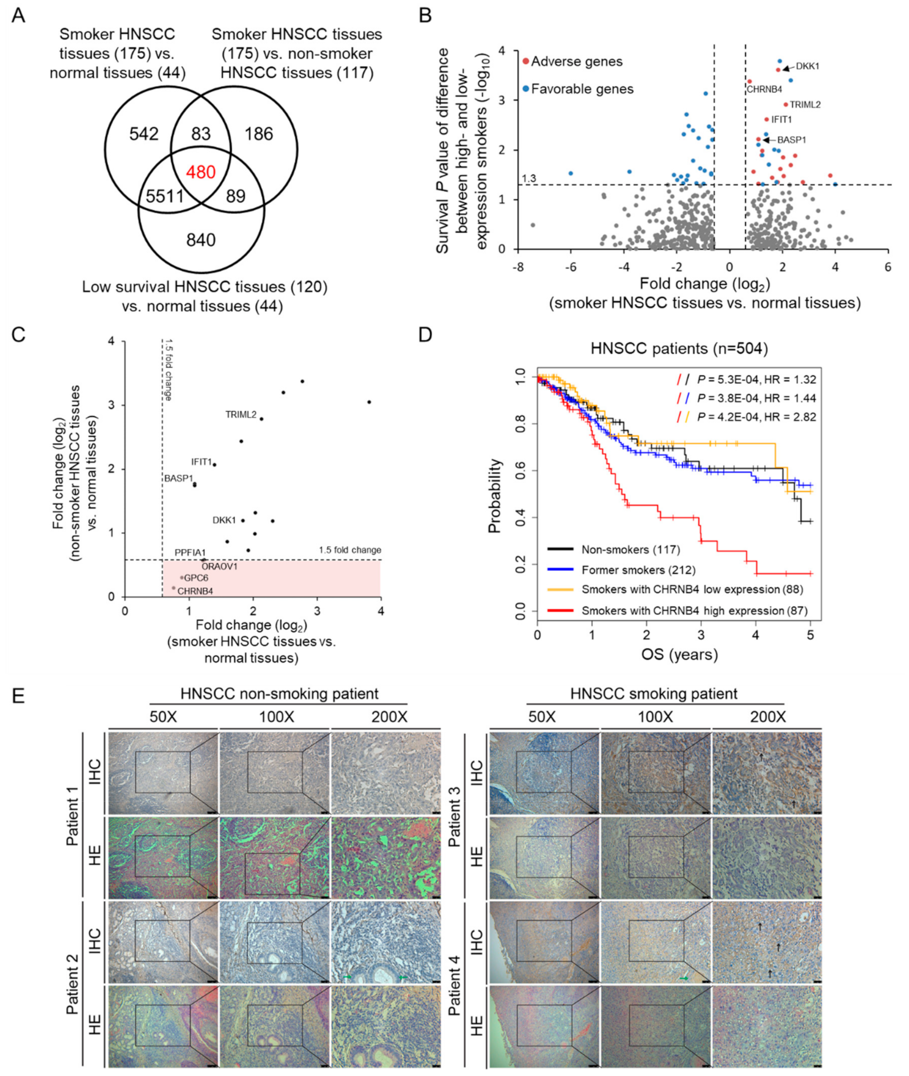 Cancers 12 01324 g002