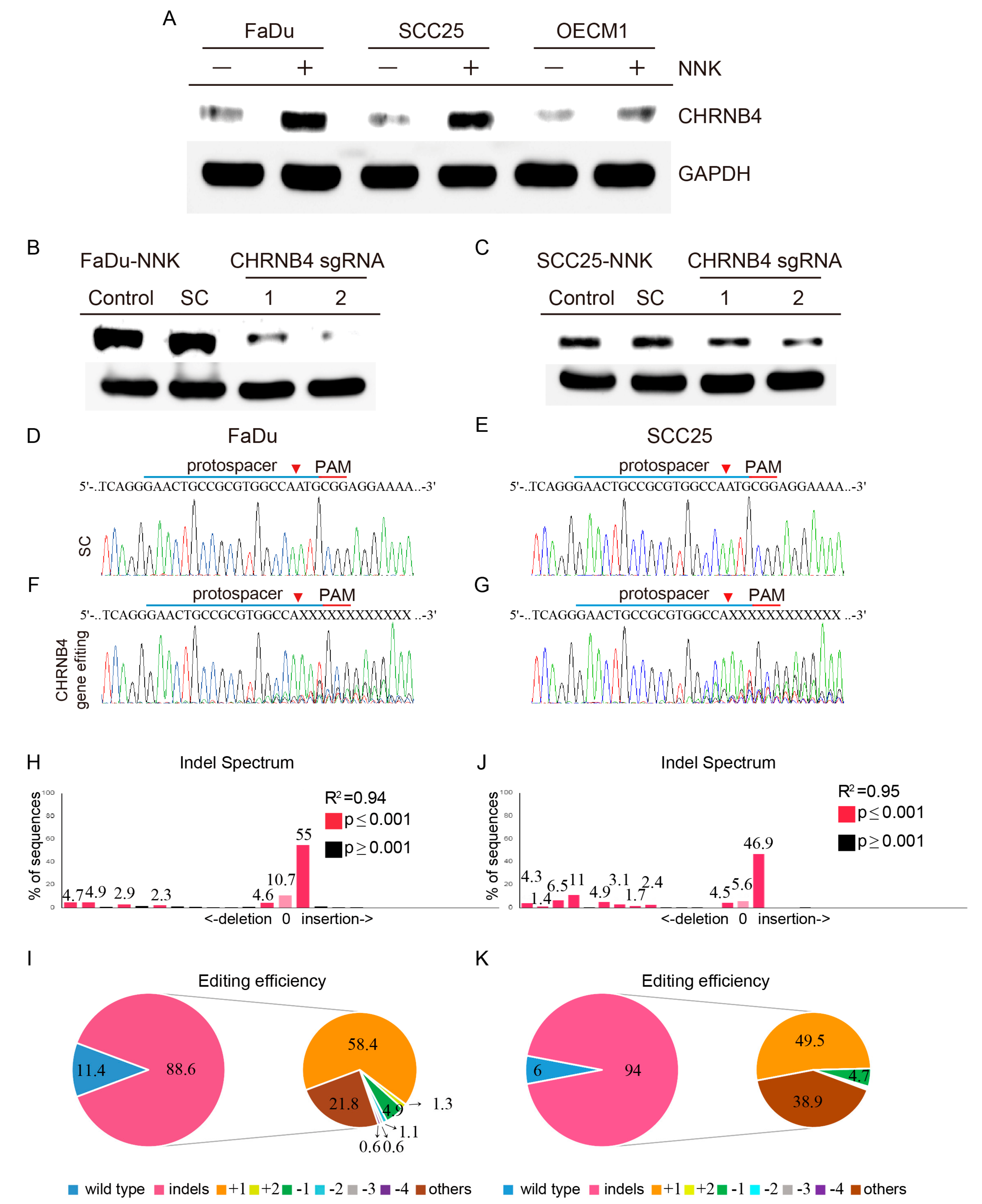 Cancers 12 01324 g006