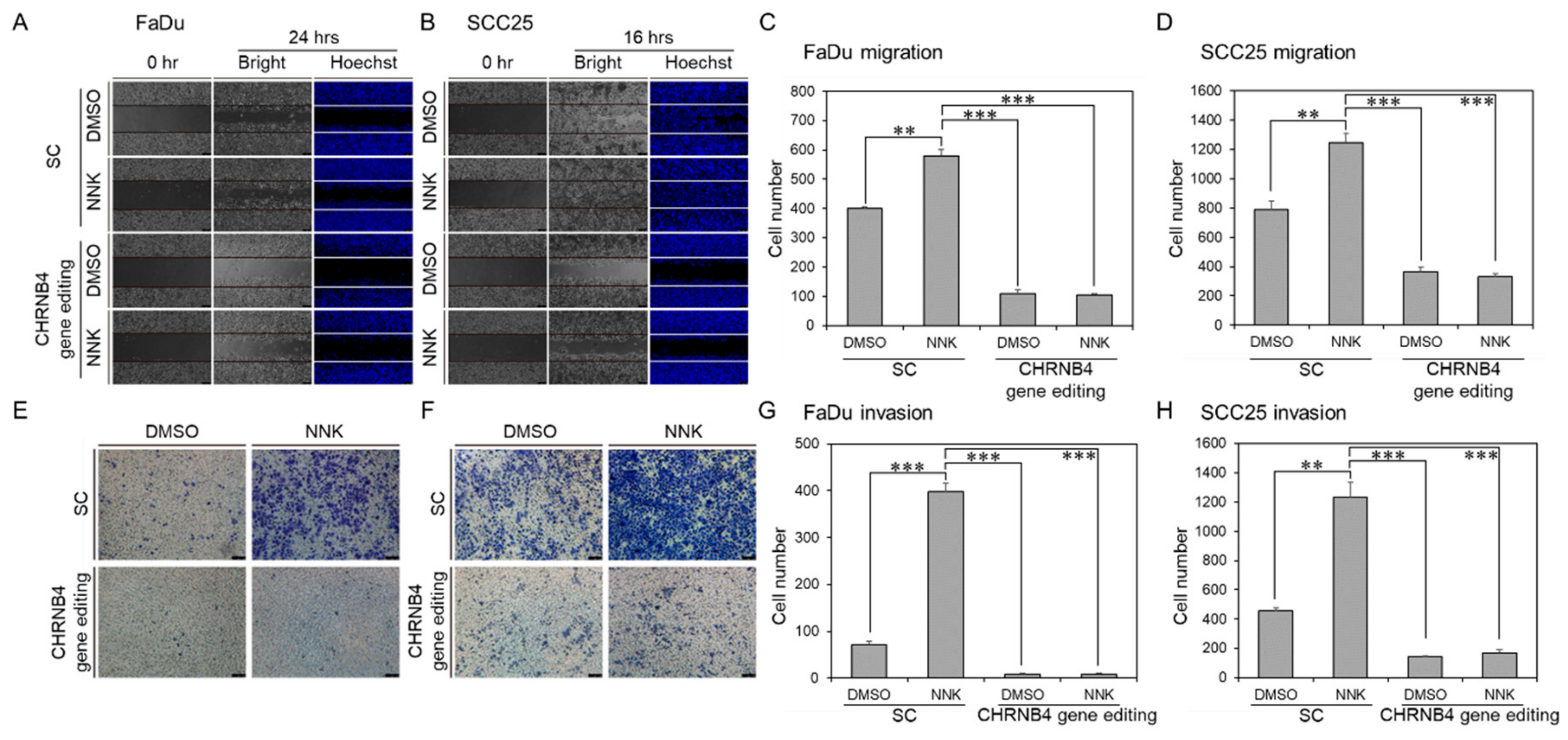Cancers 12 01324 g007