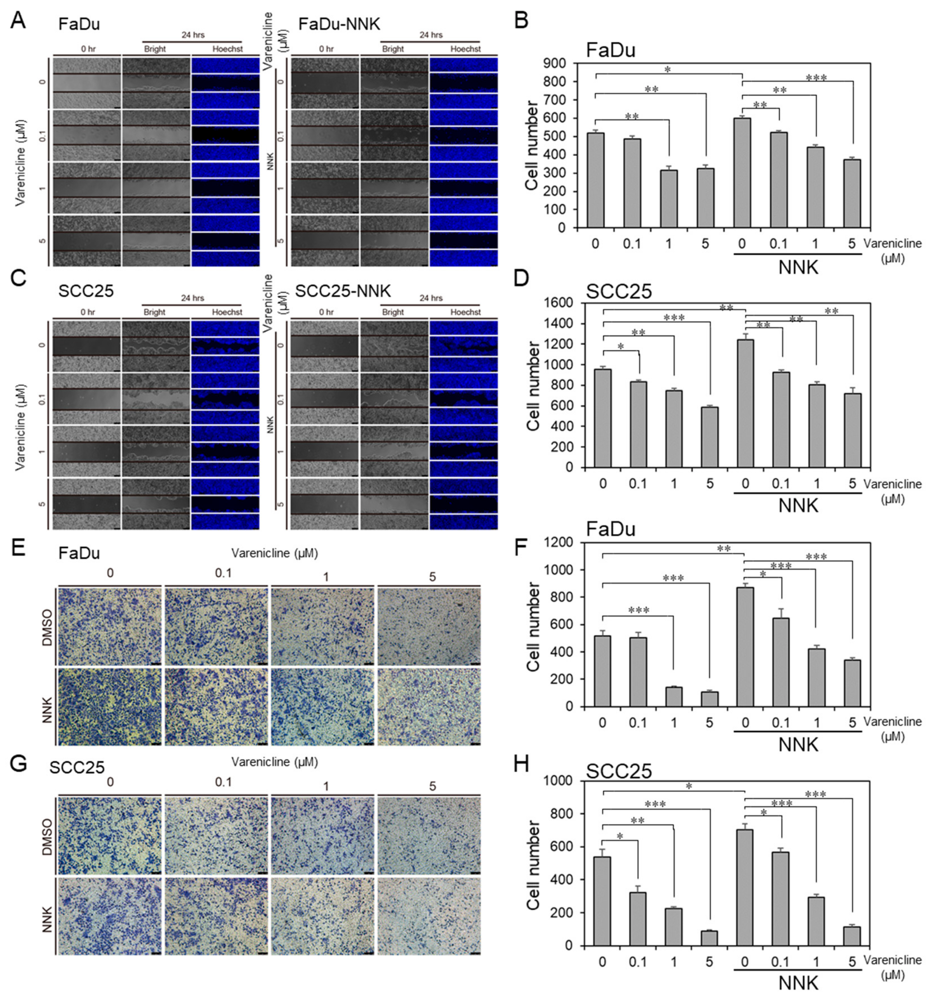 Cancers 12 01324 g008