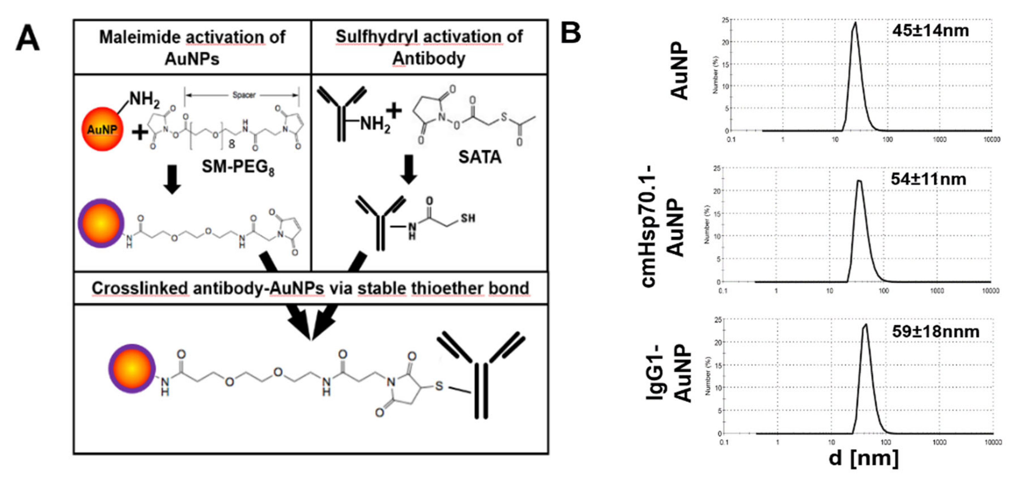 Cancers 12 01331 g001