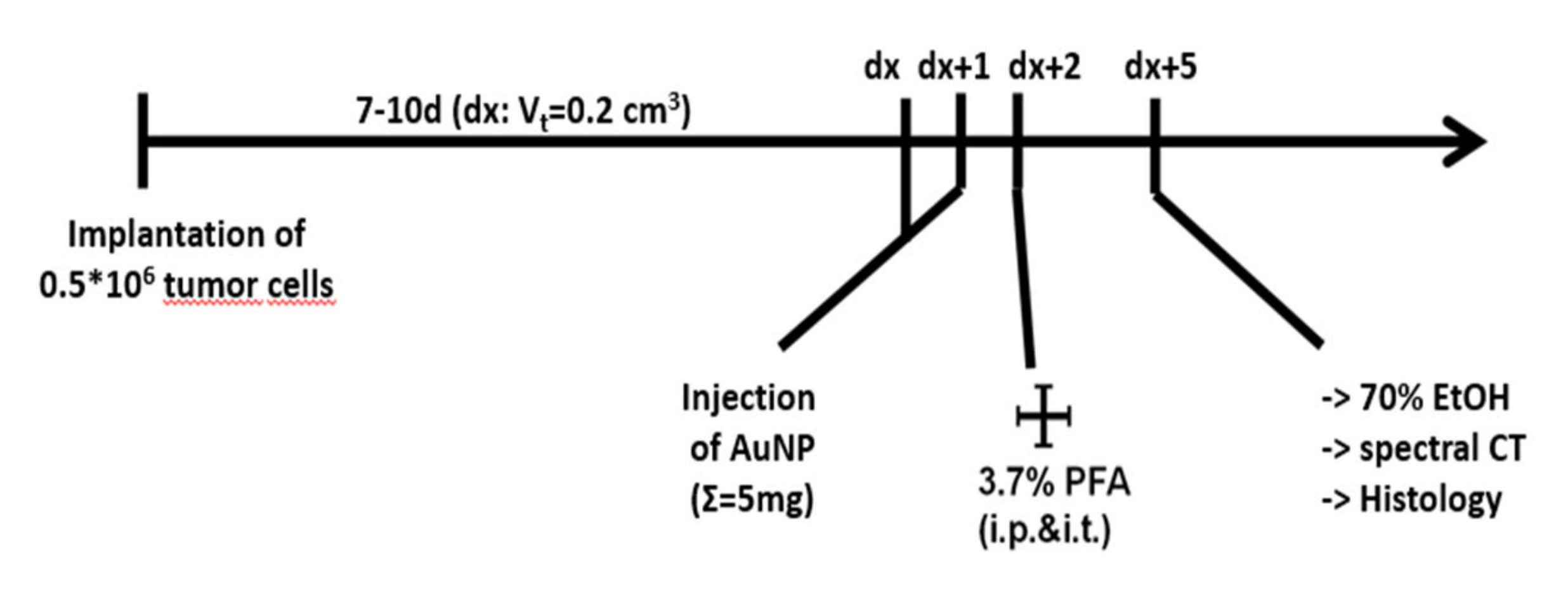 Cancers 12 01331 g004