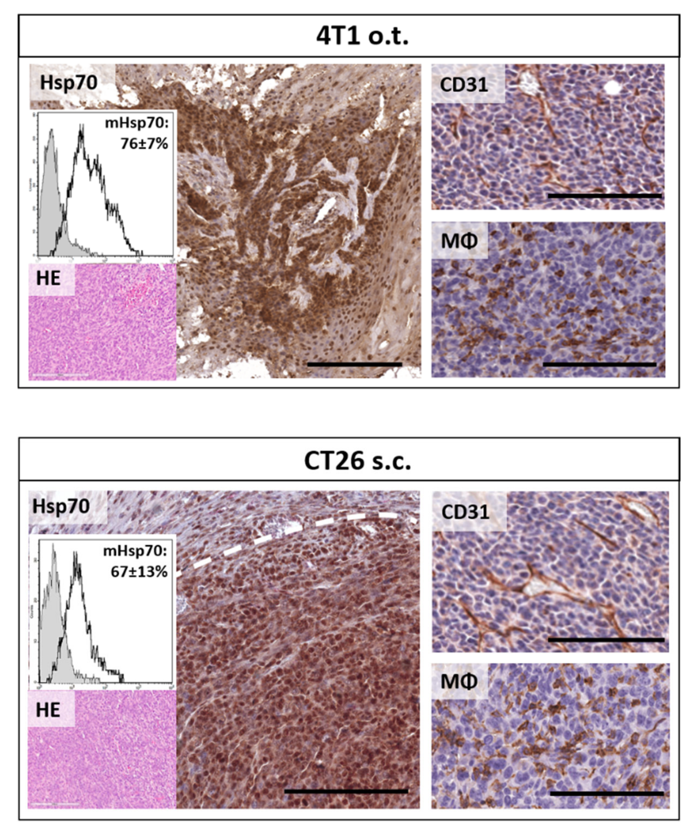 Cancers 12 01331 g005