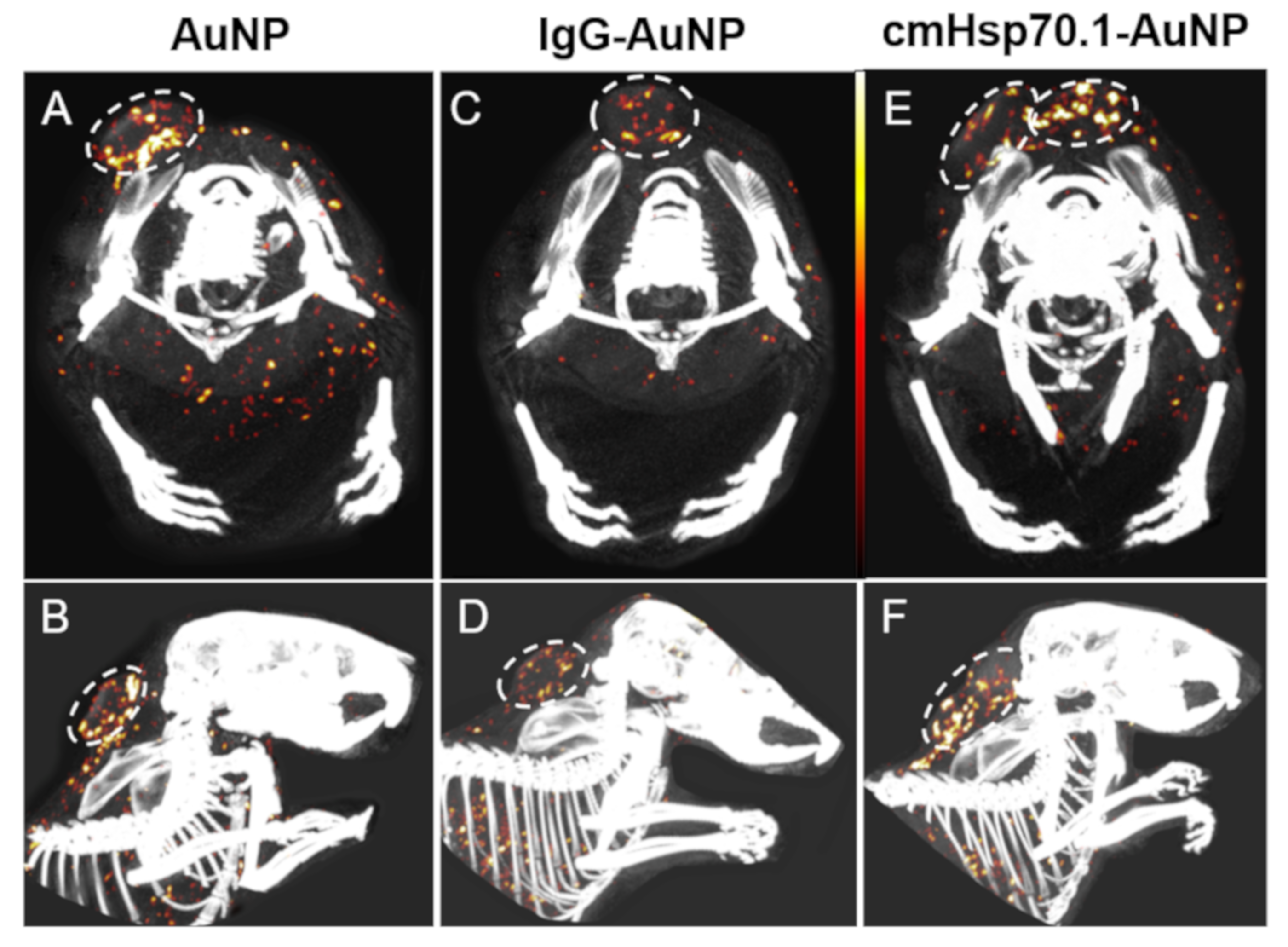 Cancers 12 01331 g006