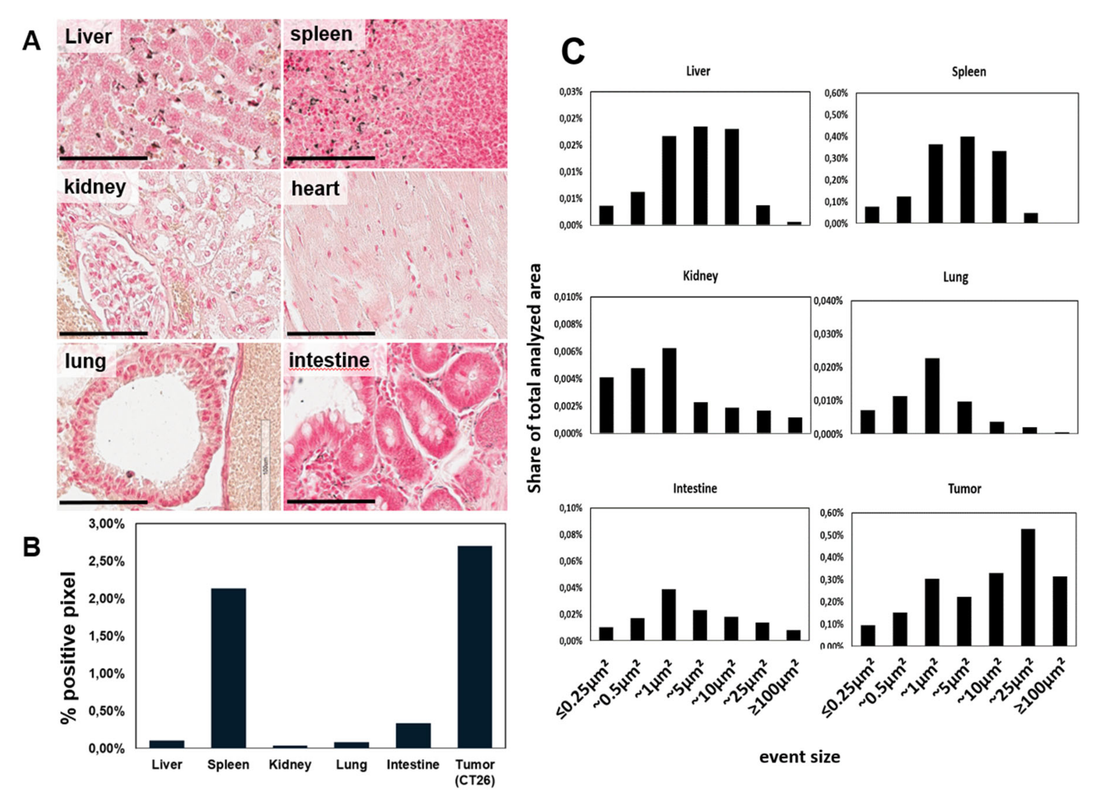 Cancers 12 01331 g008