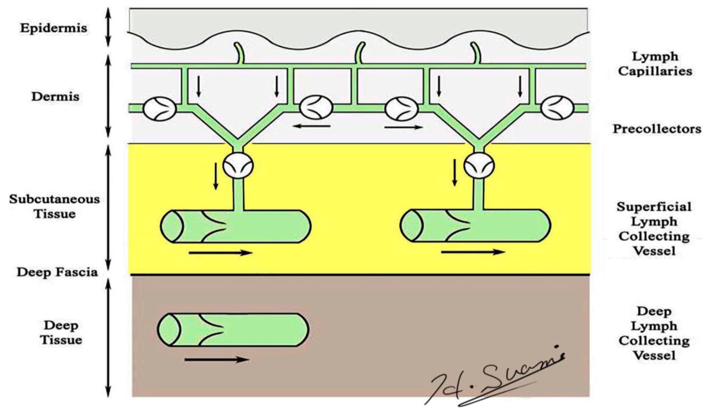 Cancers 12 01338 g001 Cancers 12 01338 g001