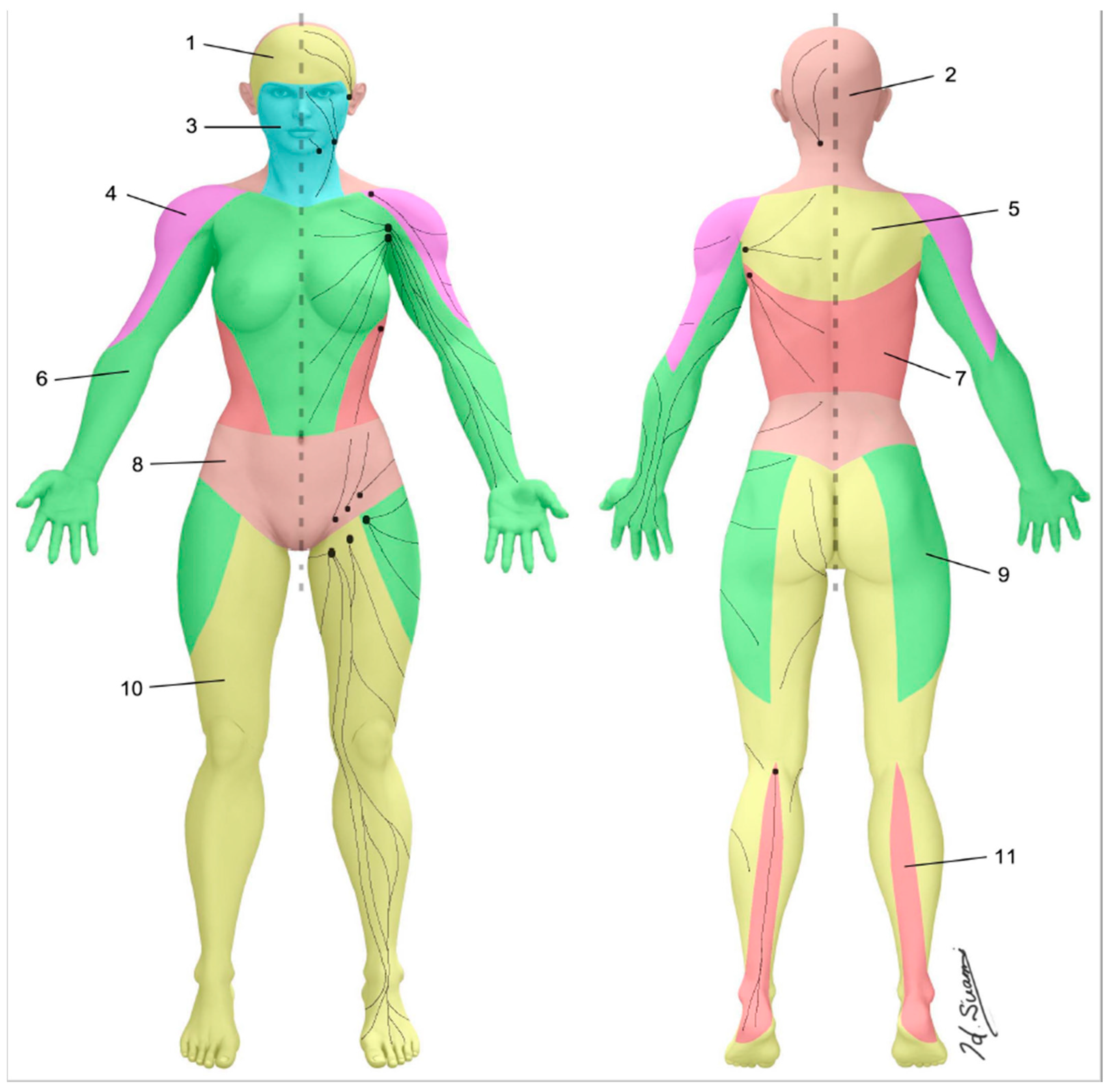 Cancers 12 01338 g003 Cancers 12 01338 g003